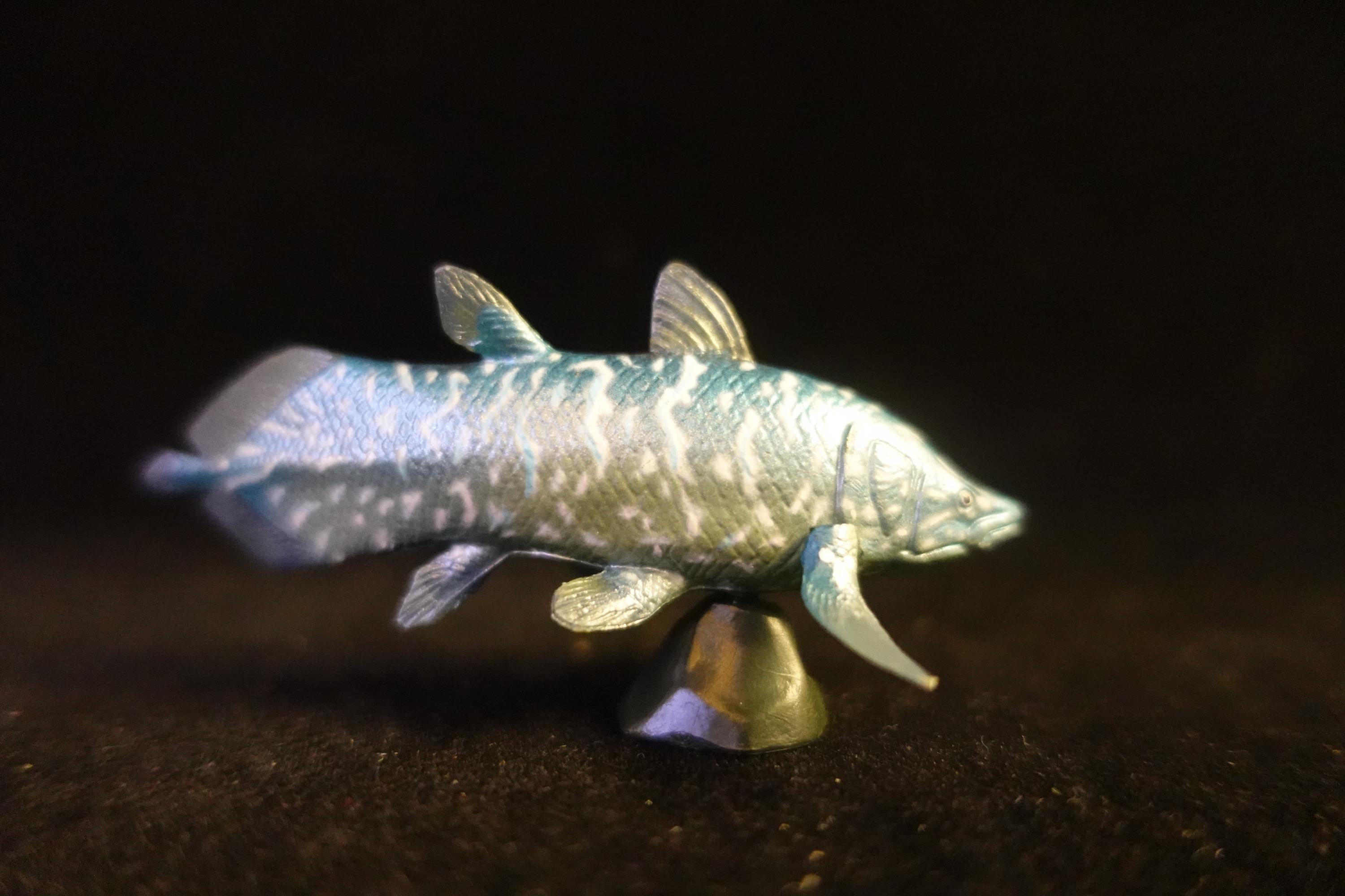 Kaiyodo UHA Dinotales Series 1 Axelrodichthys