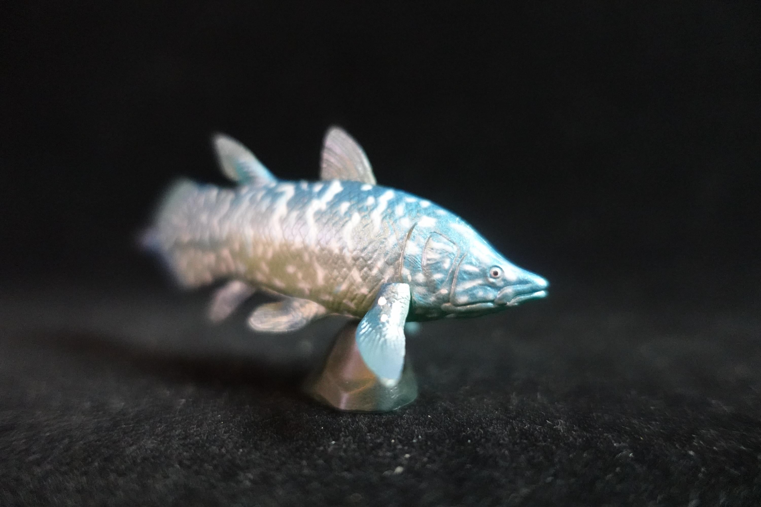 Kaiyodo UHA Dinotales Series 1 Axelrodichthys