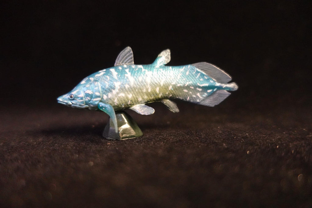 Kaiyodo UHA Dinotales Series 1 Axelrodichthys
