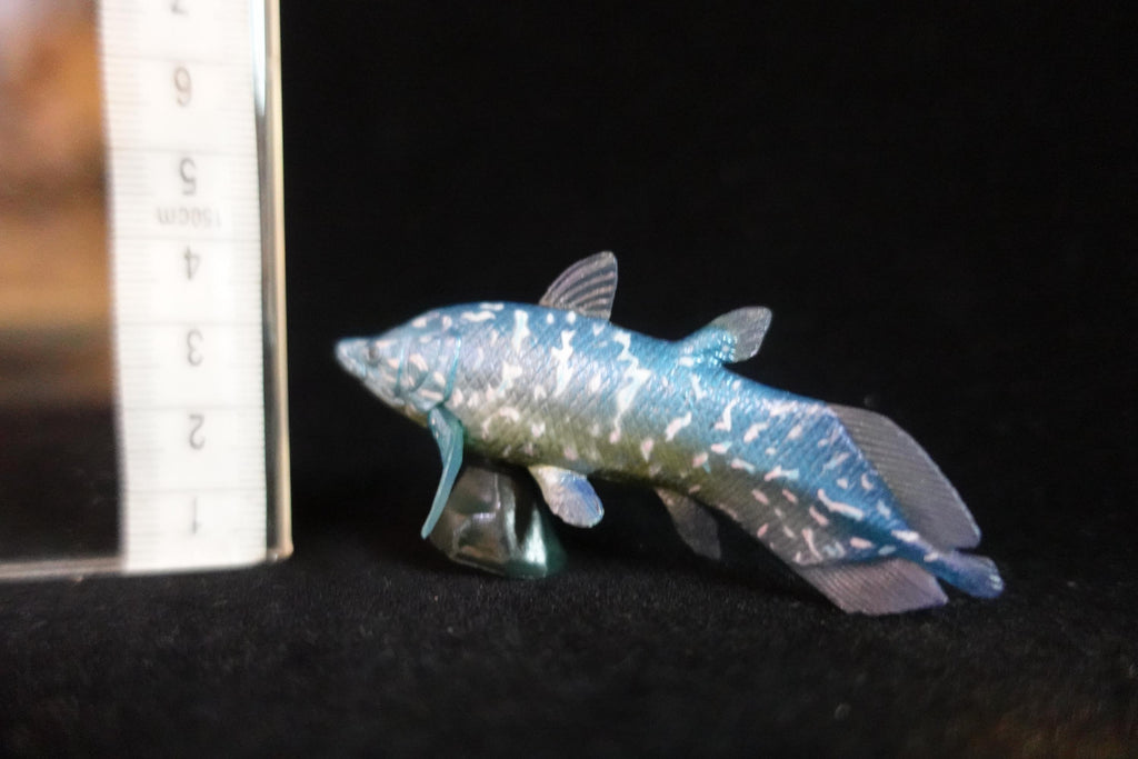 Kaiyodo UHA Dinotales Series 1 Axelrodichthys