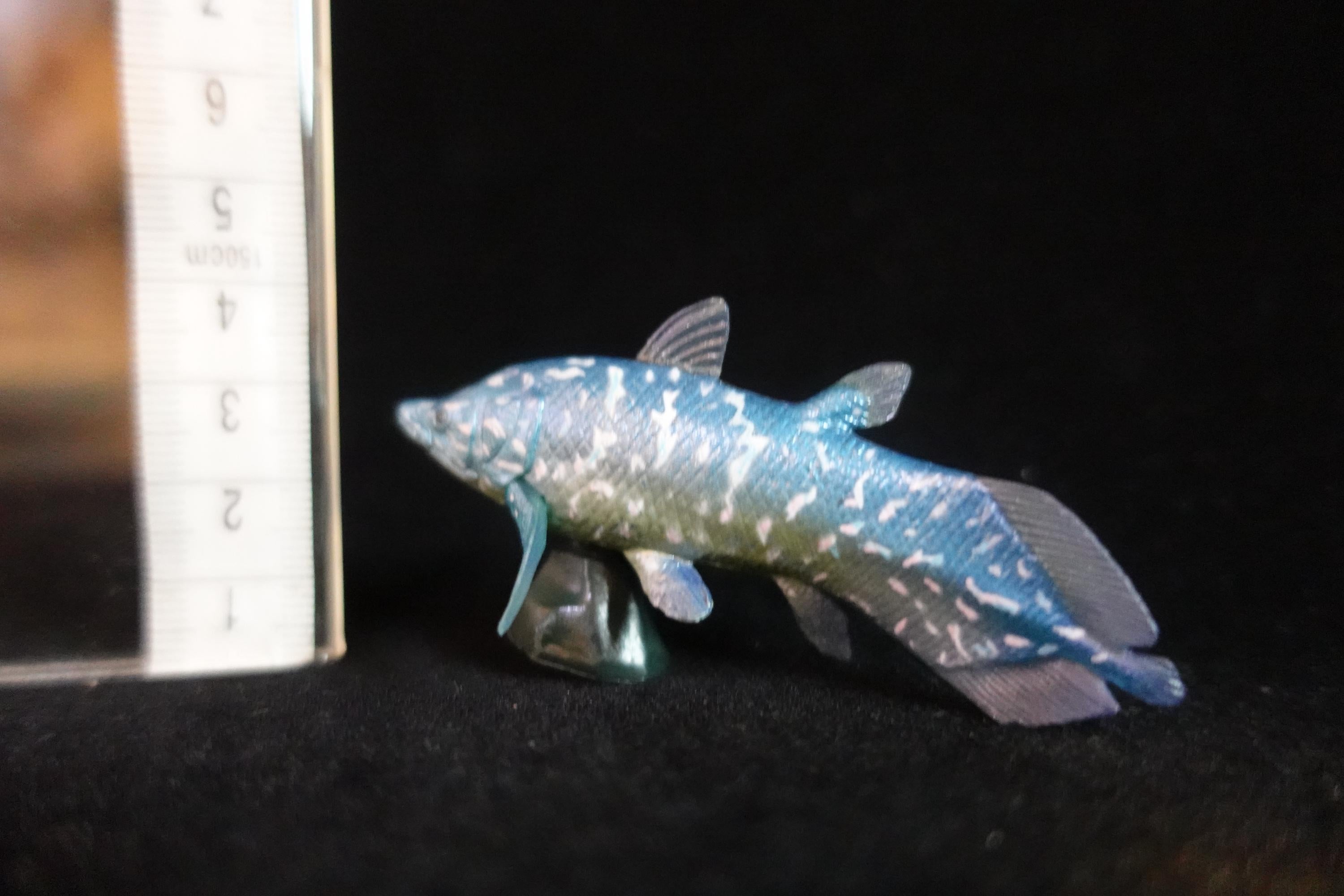 Kaiyodo UHA Dinotales Series 1 Axelrodichthys