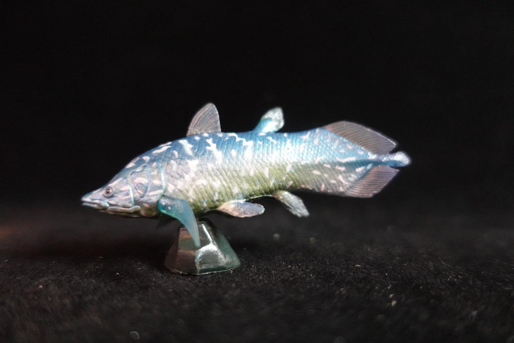 Kaiyodo UHA Dinotales Series 1 Axelrodichthys