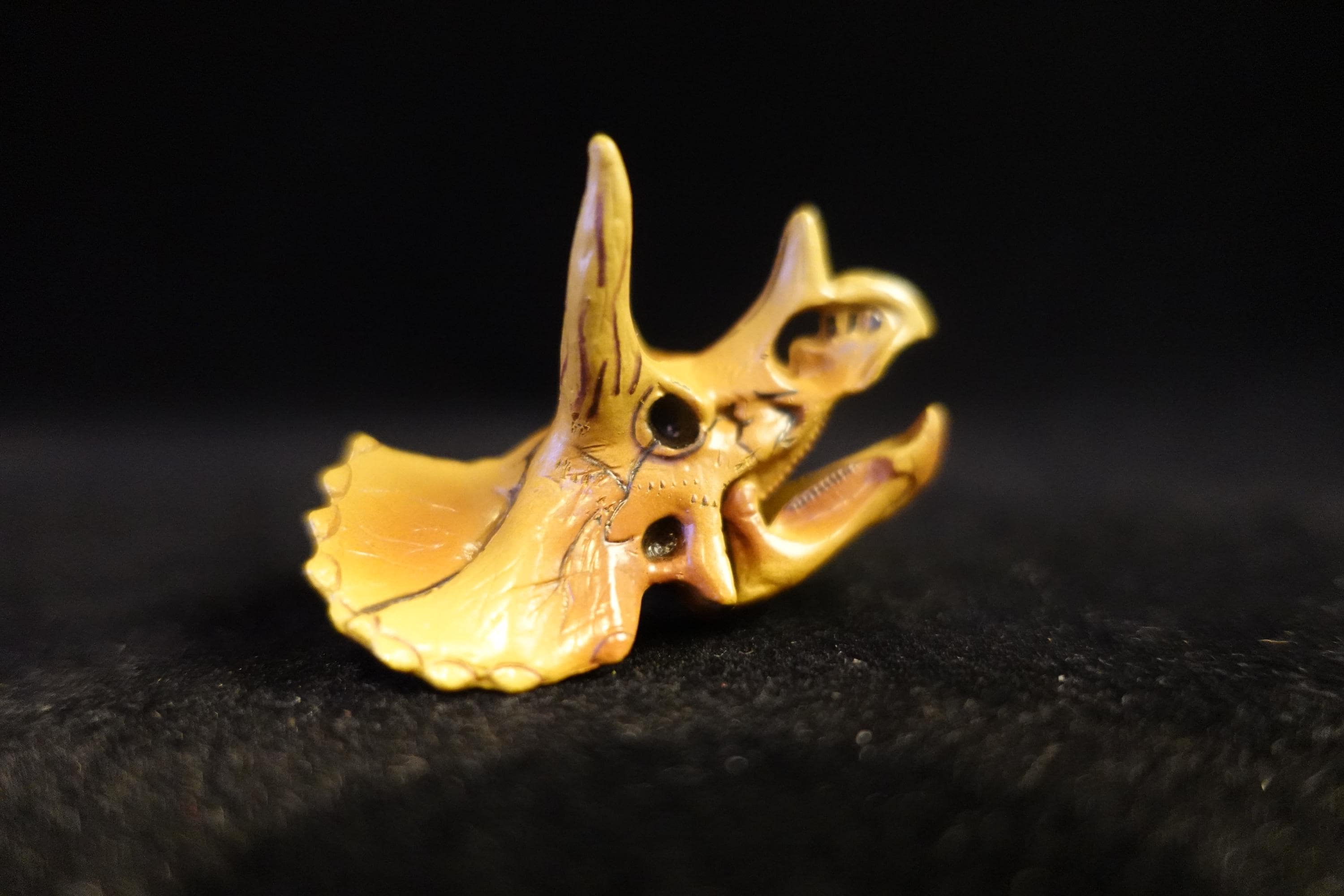 Kaiyodo UHA Dinotales Series 1 Triceratops Skull