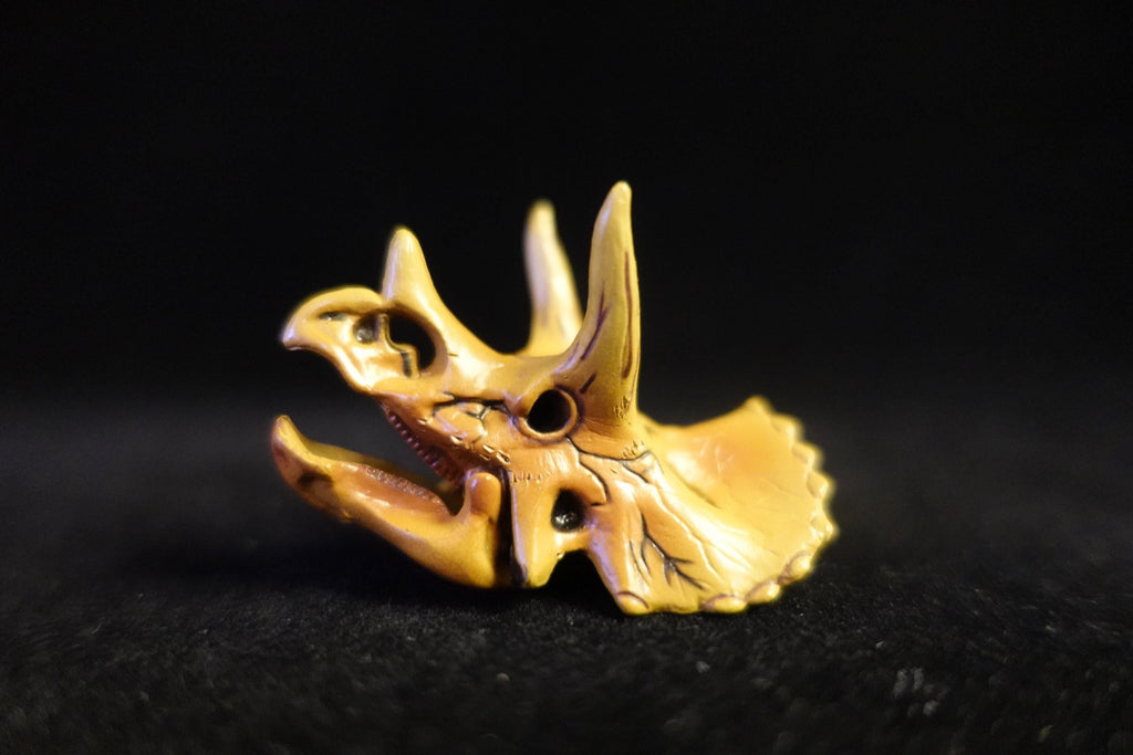 Kaiyodo UHA Dinotales Series 1 Triceratops Skull
