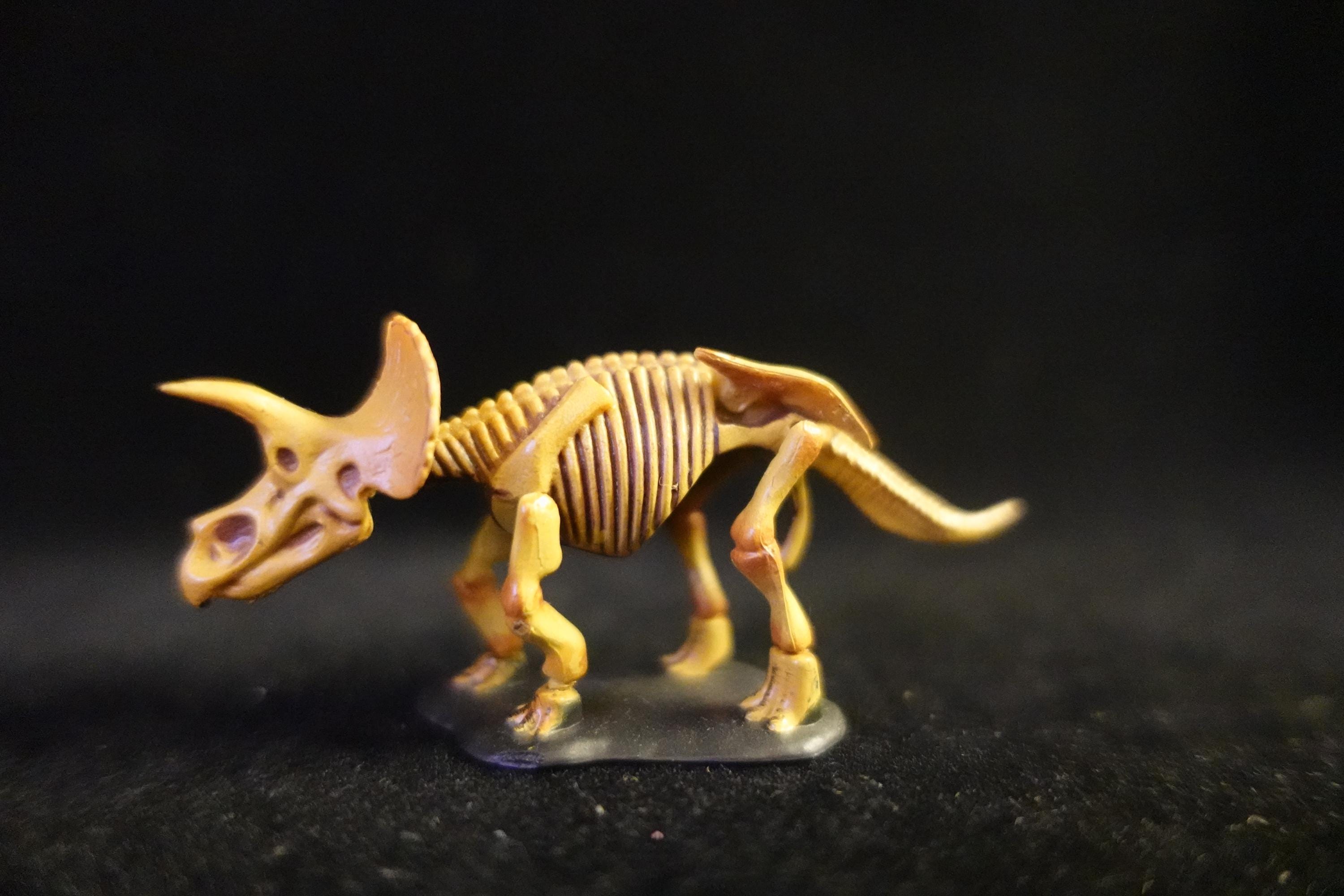 Kaiyodo UHA Dinotales Series 1 Triceratops Skeleton