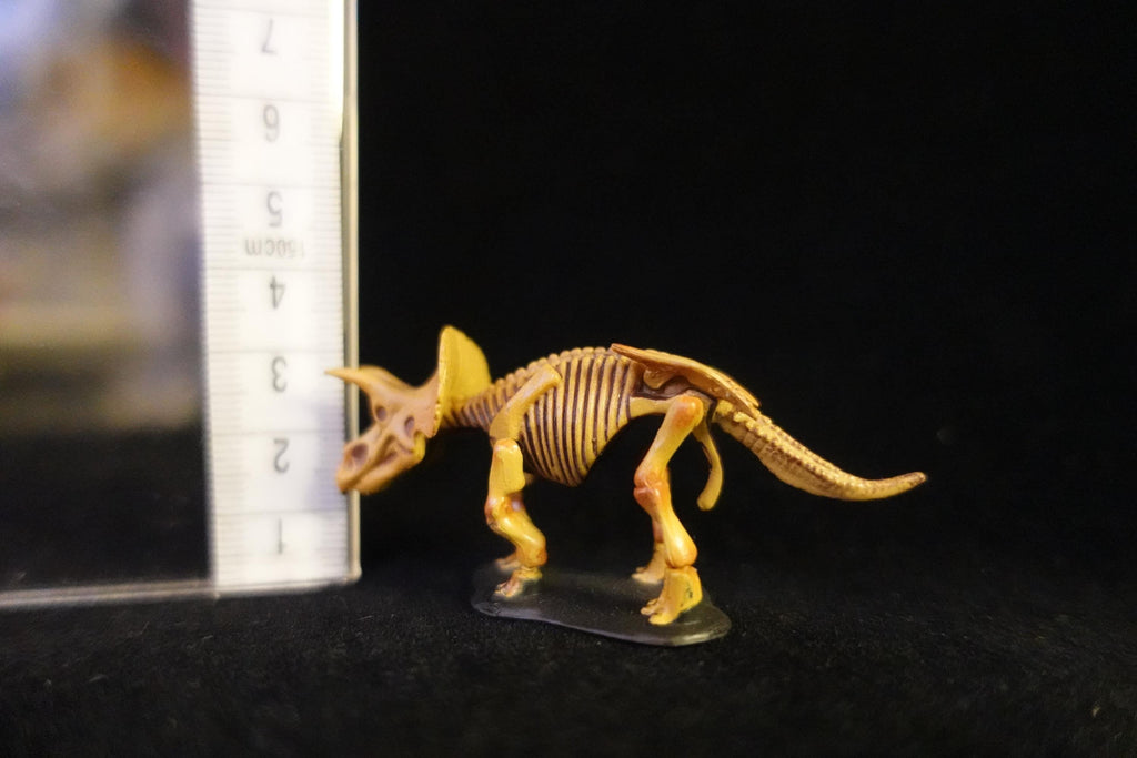 Kaiyodo UHA Dinotales Series 1 Triceratops Skeleton