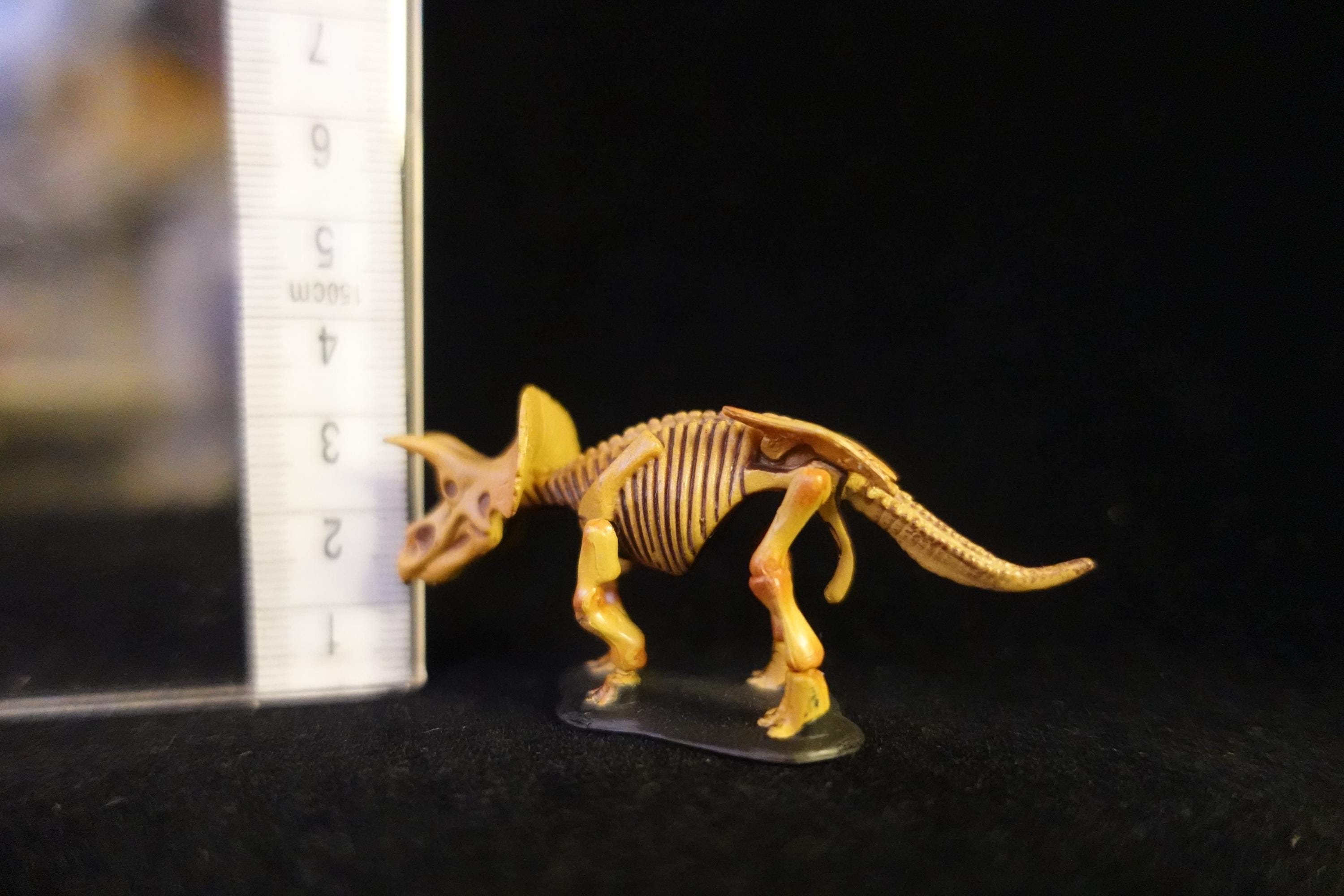 Kaiyodo UHA Dinotales Series 1 Triceratops Skeleton
