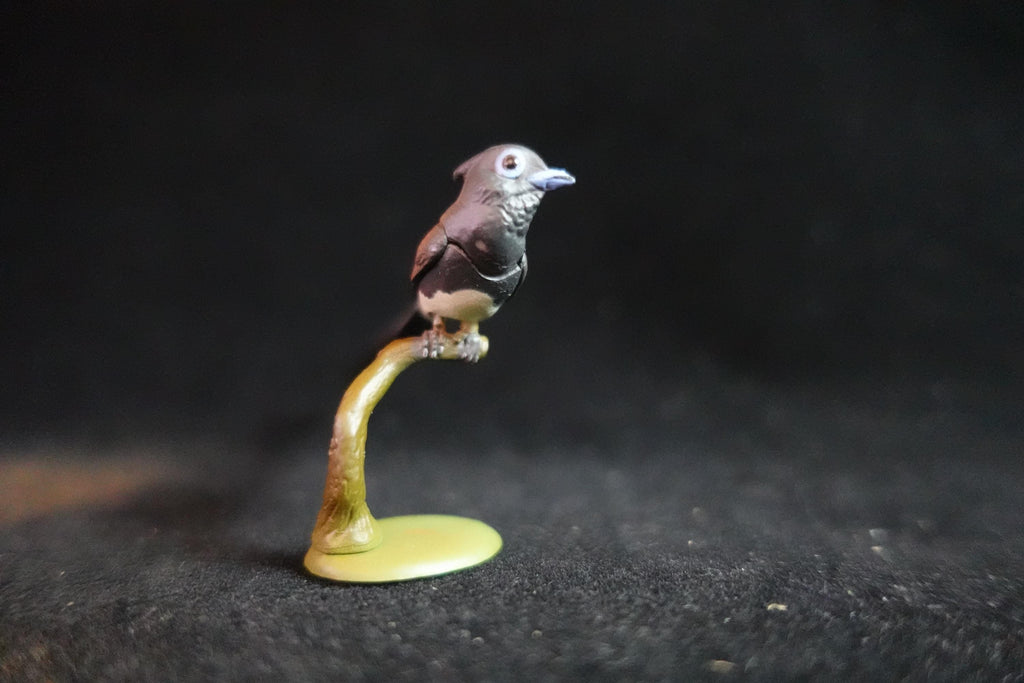Kaiyodo ChocoQ Animatales Series 10 Bird Sunbird