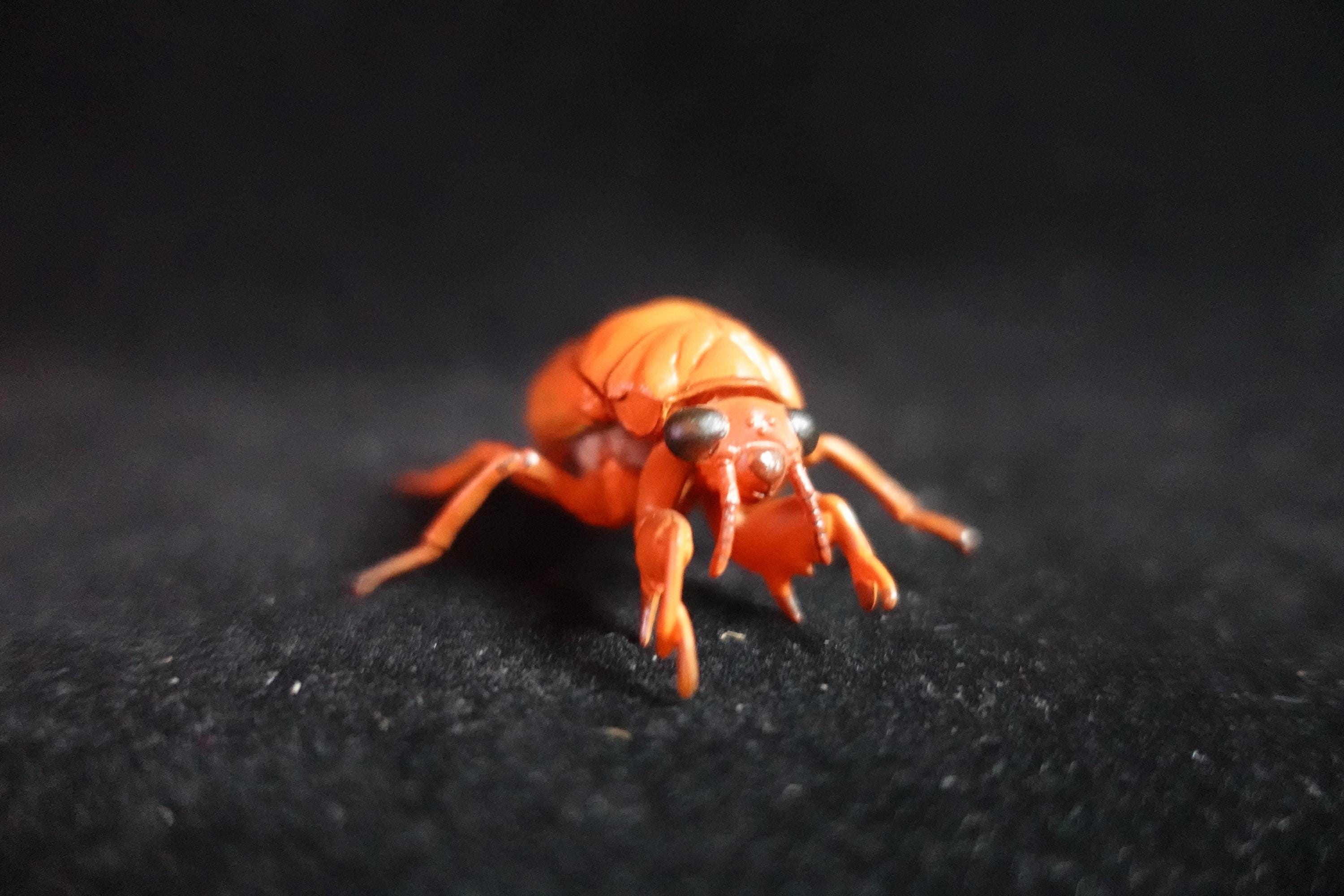 Kaiyodo ChocoQ Animatales Series 10 Cicada Larva (Just before Hatching)