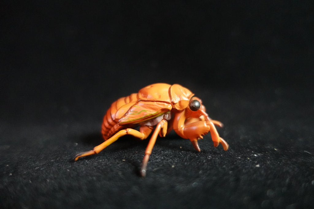 Kaiyodo ChocoQ Animatales Series 10 Cicada Larva (Just before Hatching)