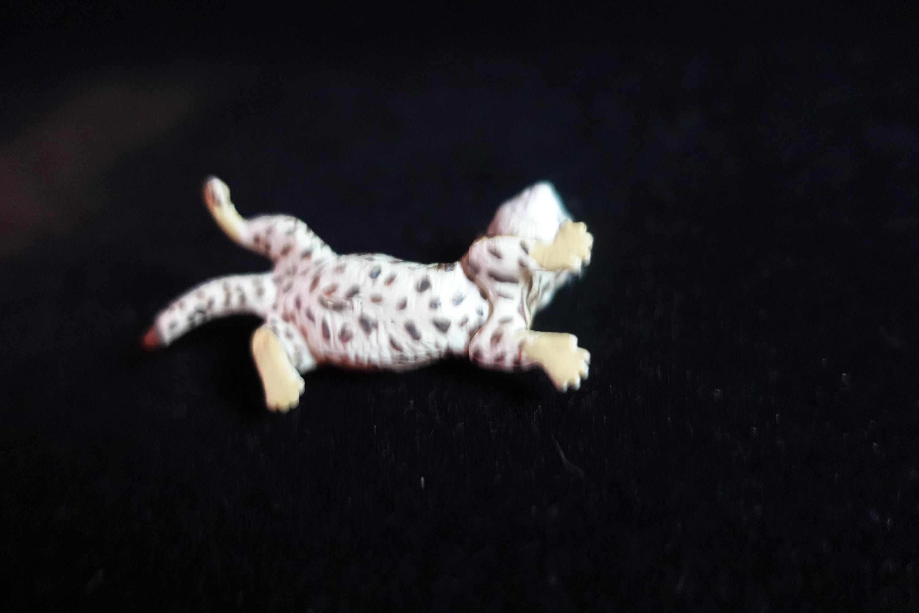 Kaiyodo ChocoQ Animatales Series 10 Tsushima Wildcat (Kitten)