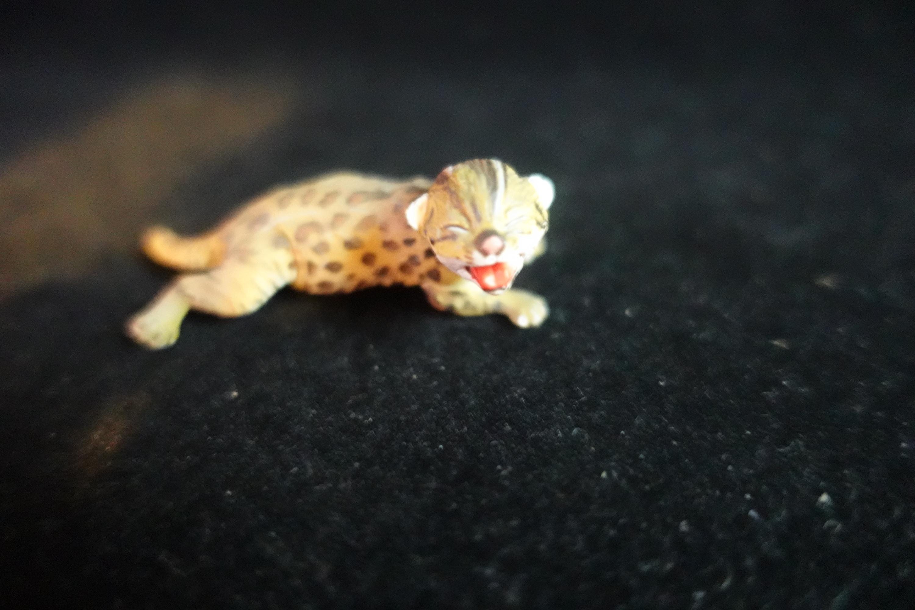 Kaiyodo ChocoQ Animatales Series 10 Tsushima Wildcat (Kitten)
