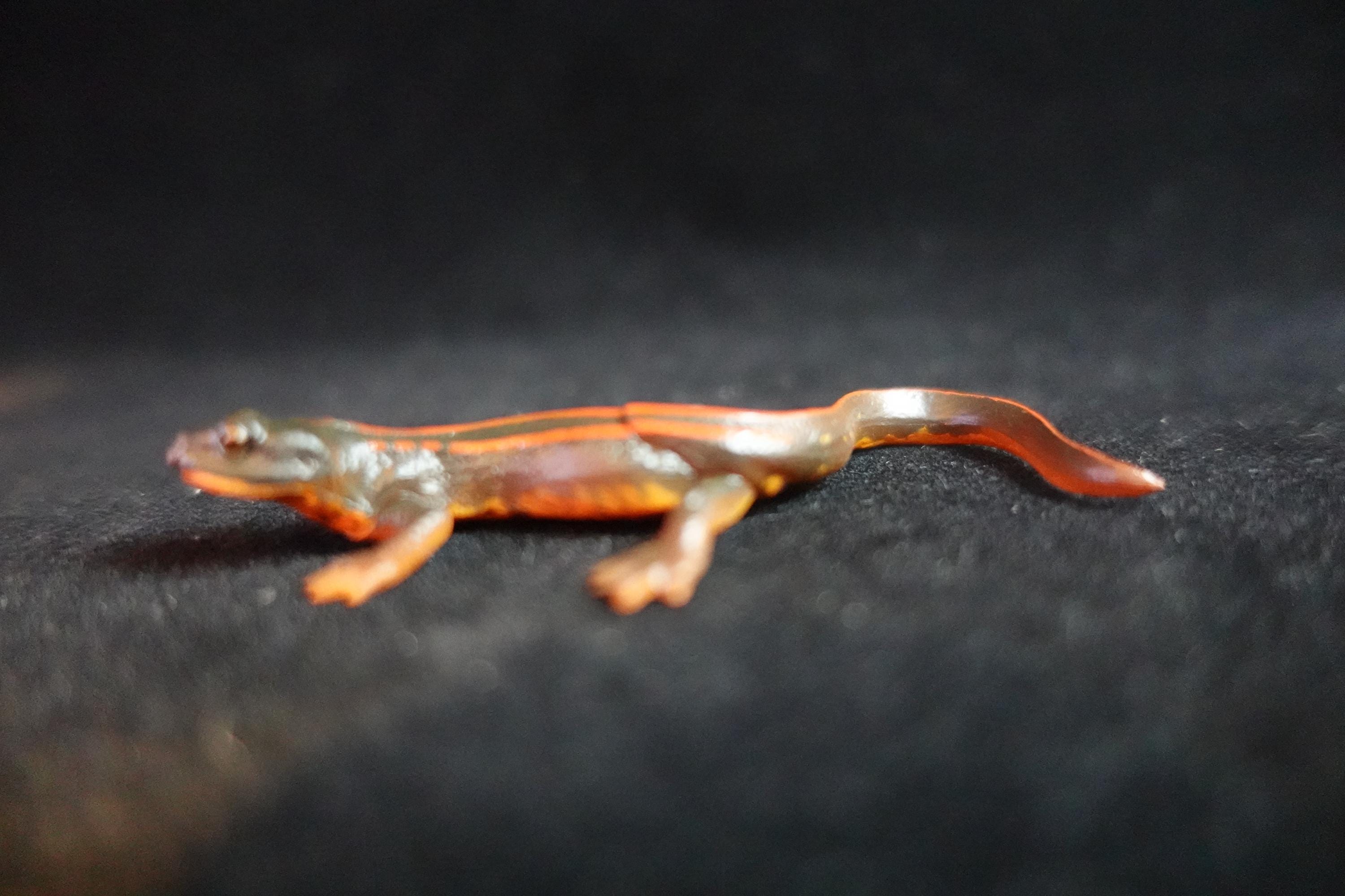 Kaiyodo ChocoQ Animatales Series 10 Okinawan Newt