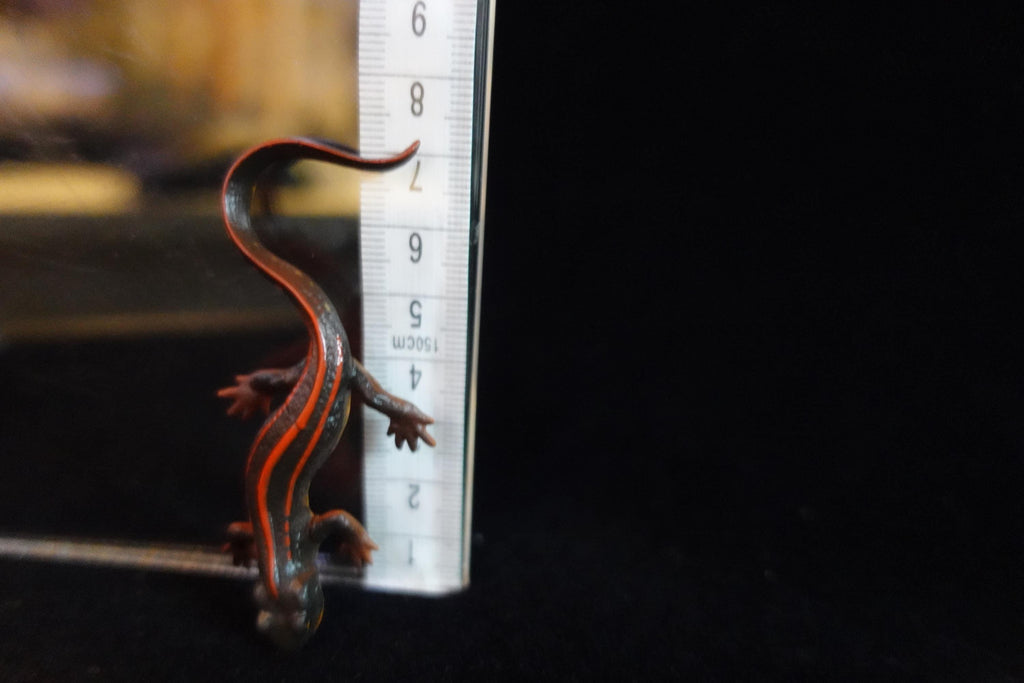 Kaiyodo ChocoQ Animatales Series 10 Okinawan Newt