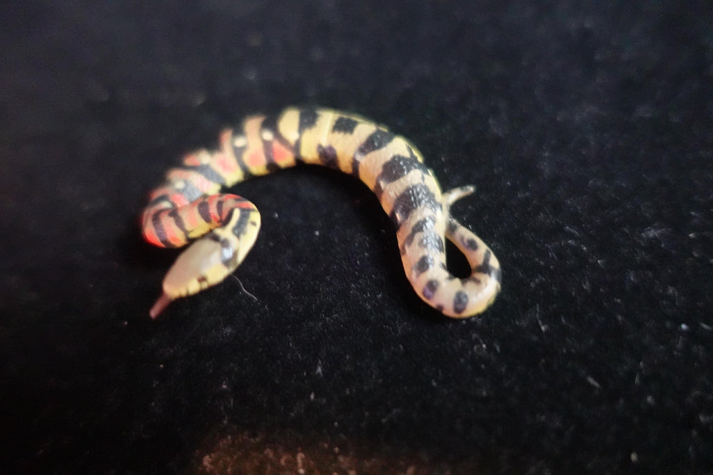 Kaiyodo ChocoQ Animatales Series 10 Tsuchinoko II Kansai Type