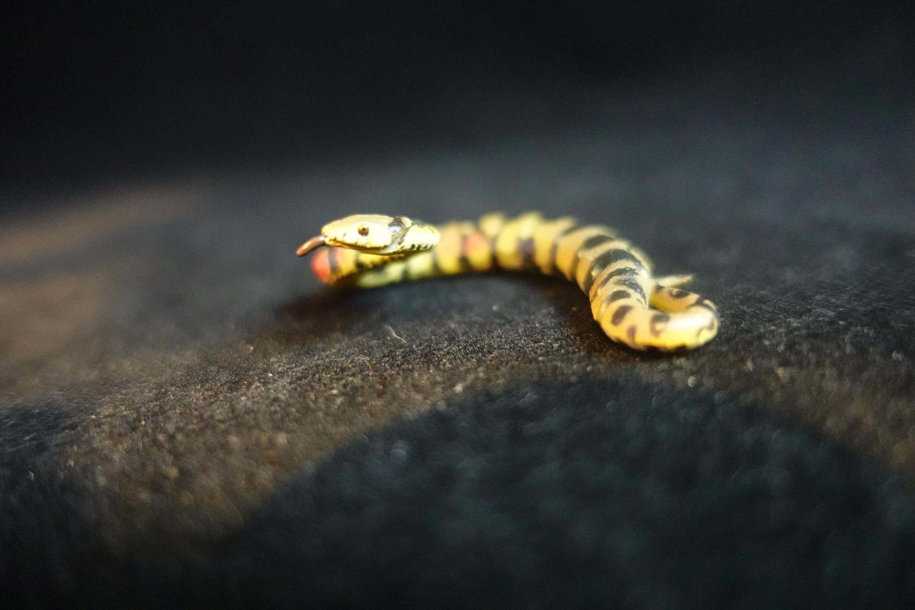 Kaiyodo ChocoQ Animatales Series 10 Tsuchinoko II Kansai Type