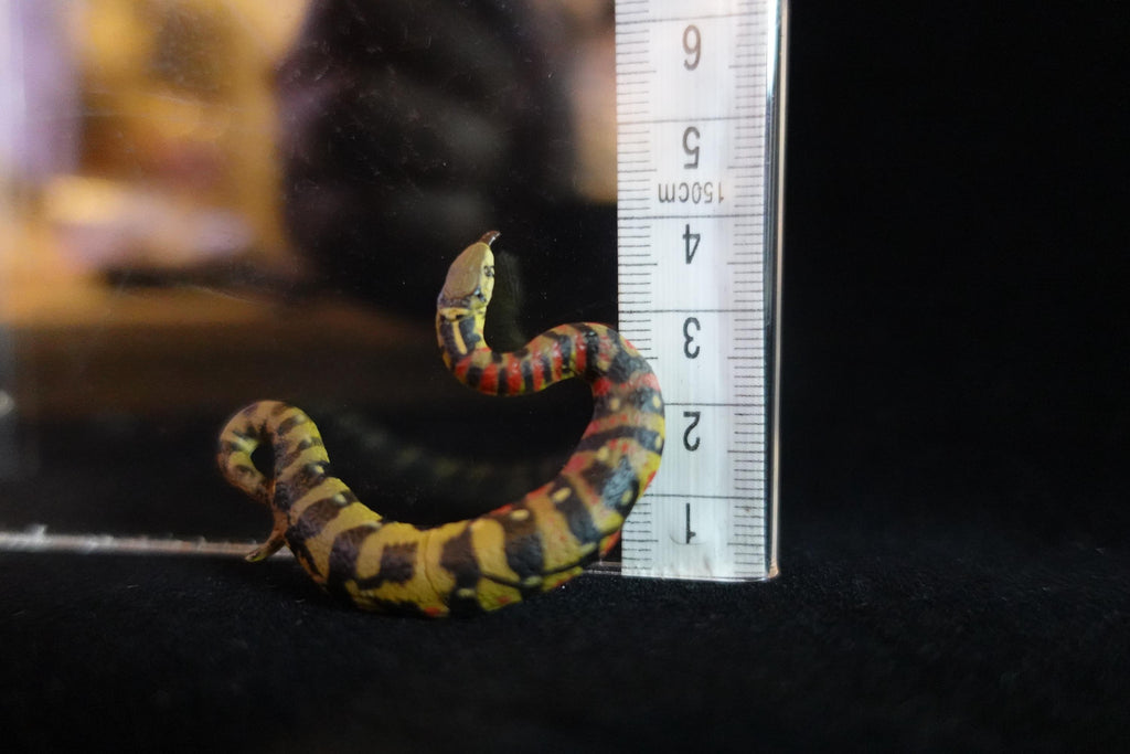 Kaiyodo ChocoQ Animatales Series 10 Tsuchinoko II Kansai Type