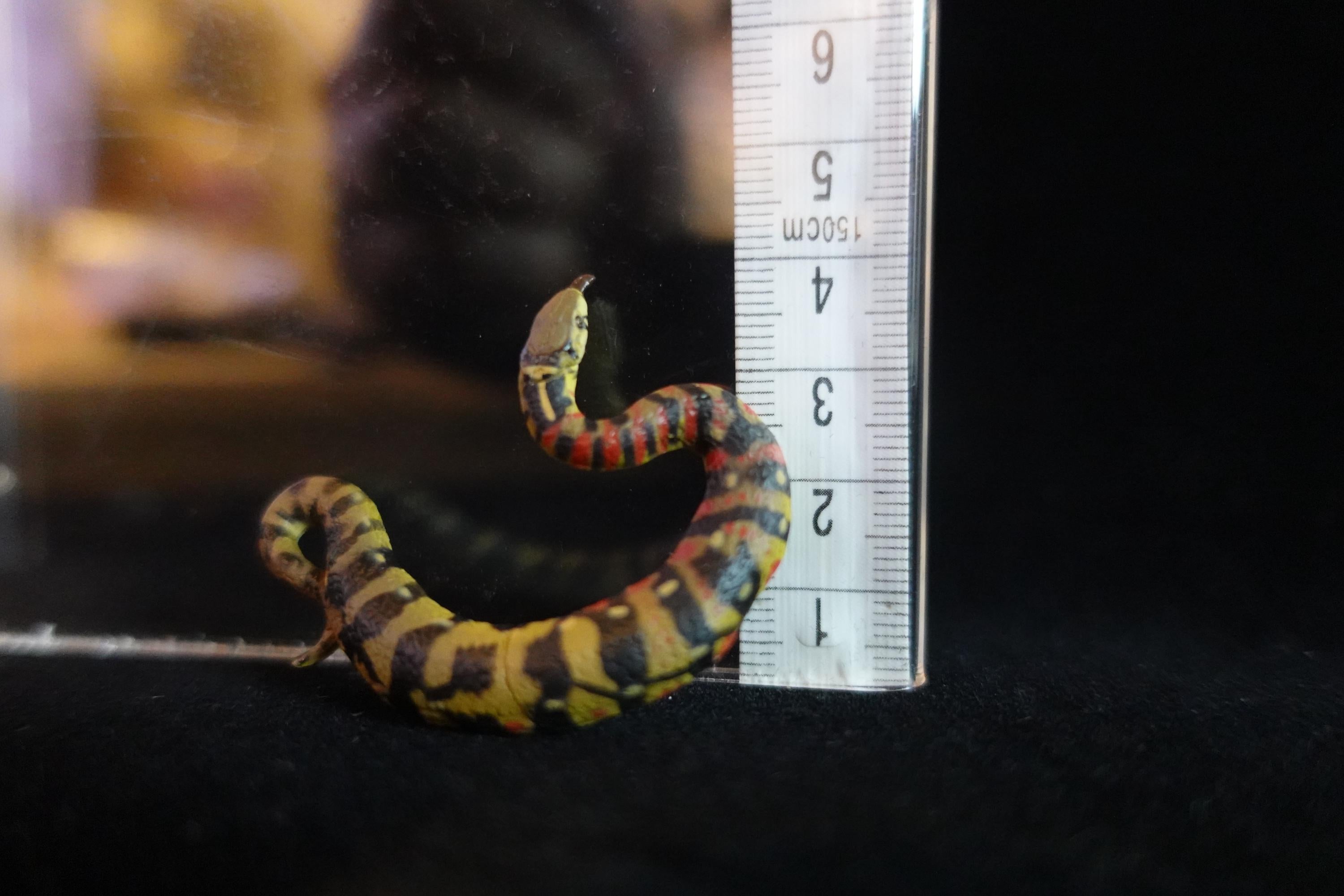 Kaiyodo ChocoQ Animatales Series 10 Tsuchinoko II Kansai Type