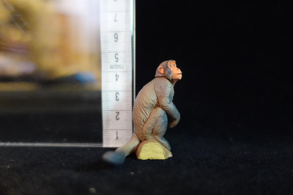 Kaiyodo ChocoQ Animatales Series 10 Thai Monkey