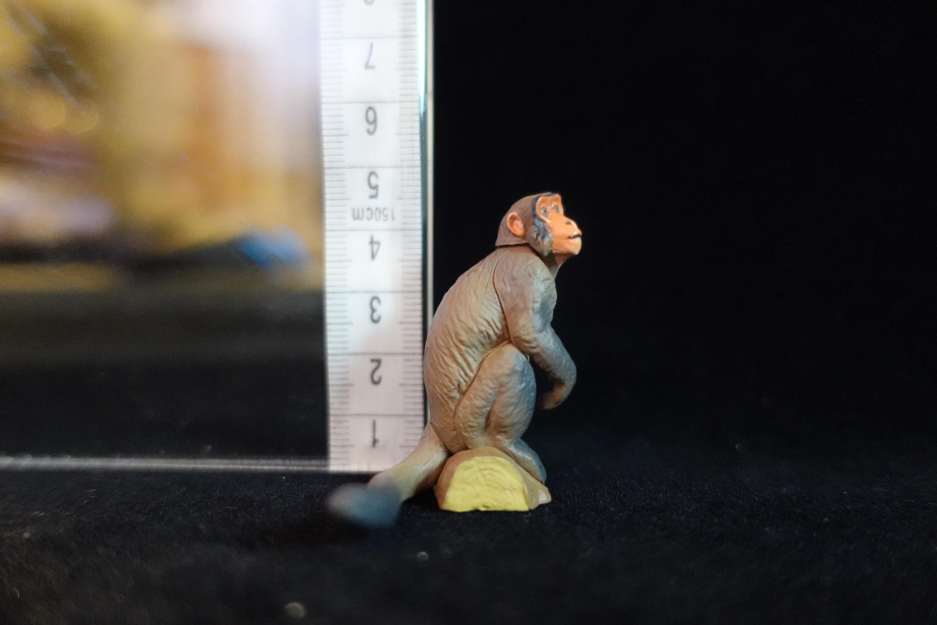 Kaiyodo ChocoQ Animatales Series 10 Thai Monkey