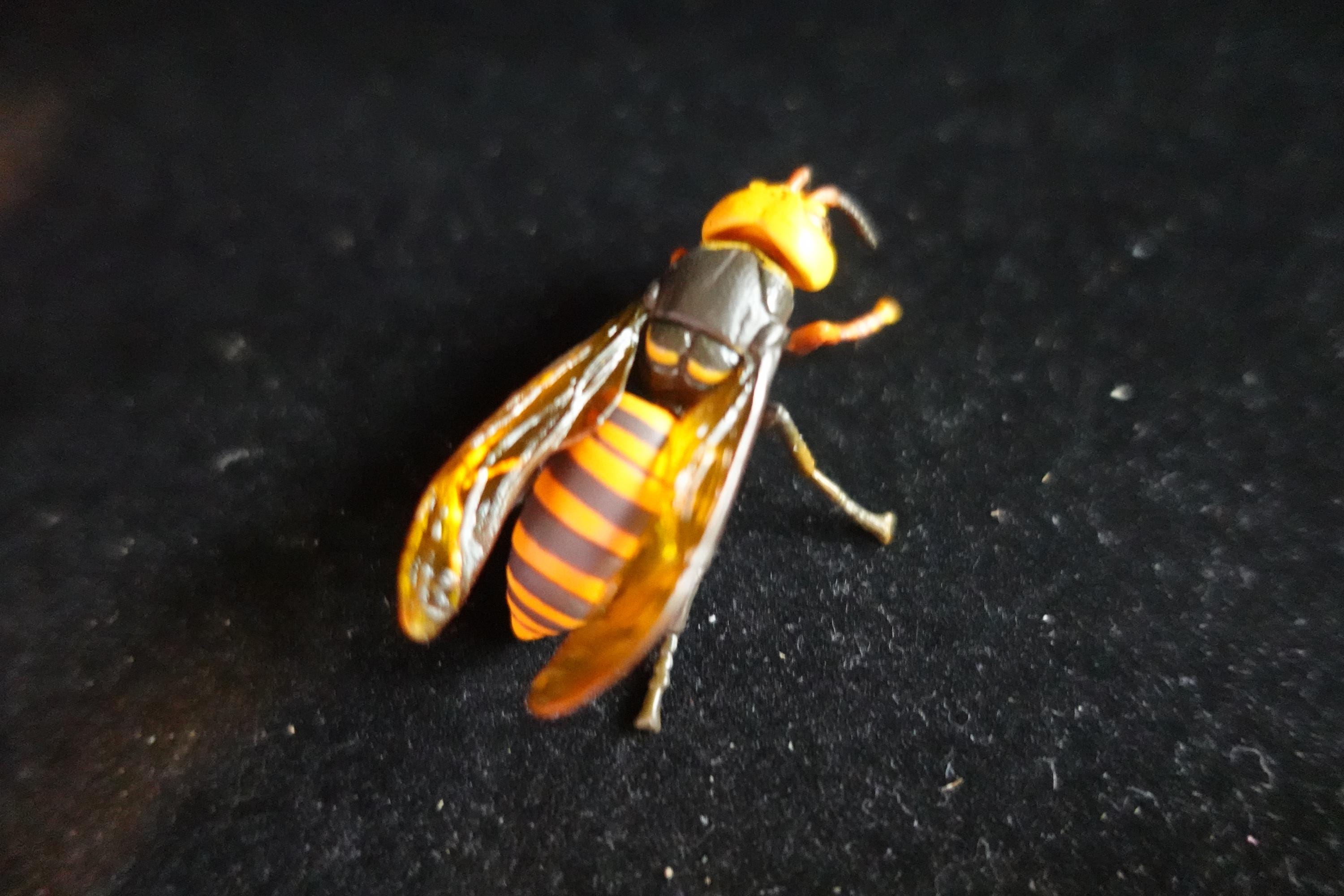 Kaiyodo ChocoQ Animatales Series 7 Giant Hornet
