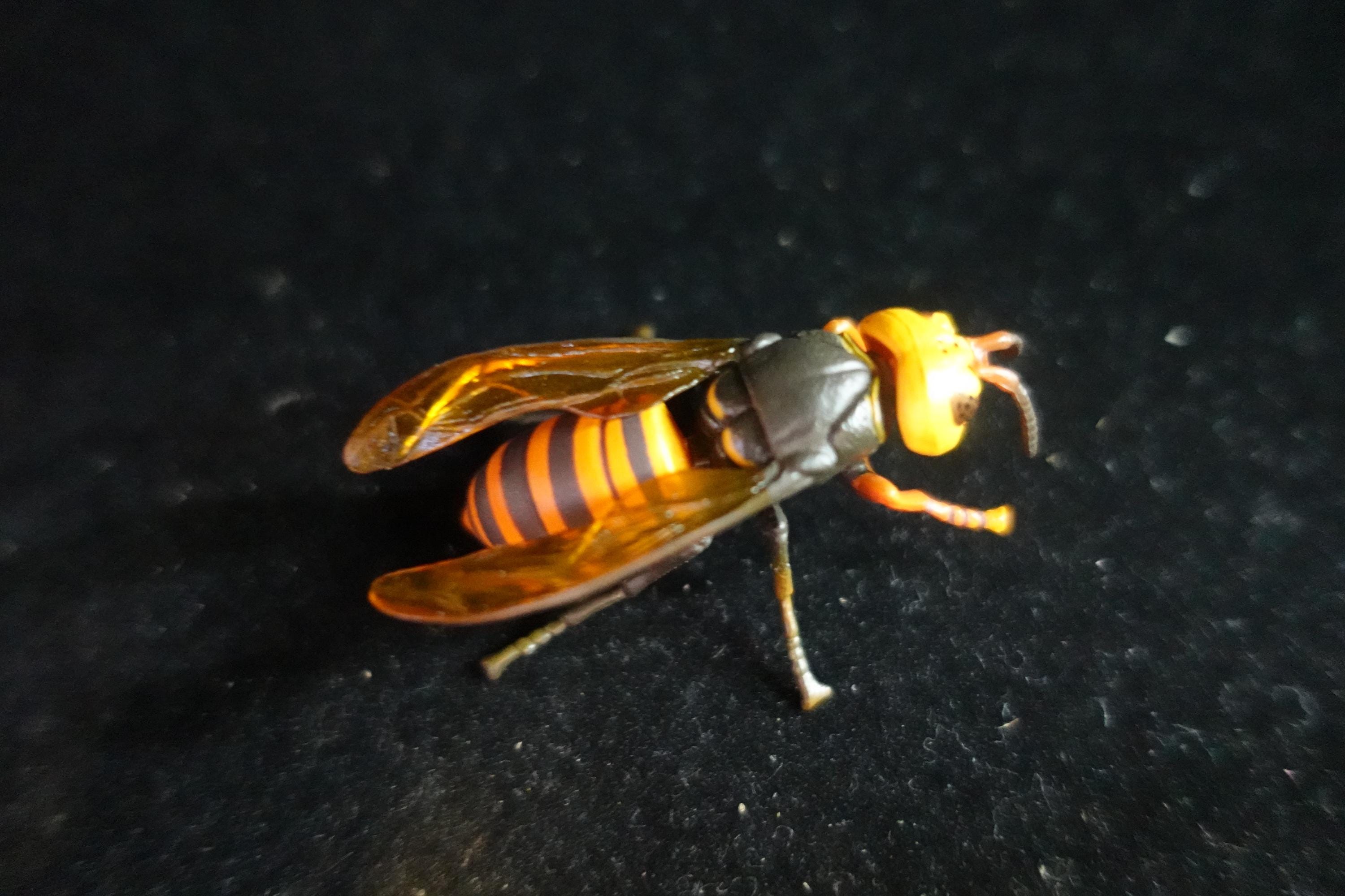 Kaiyodo ChocoQ Animatales Series 7 Giant Hornet