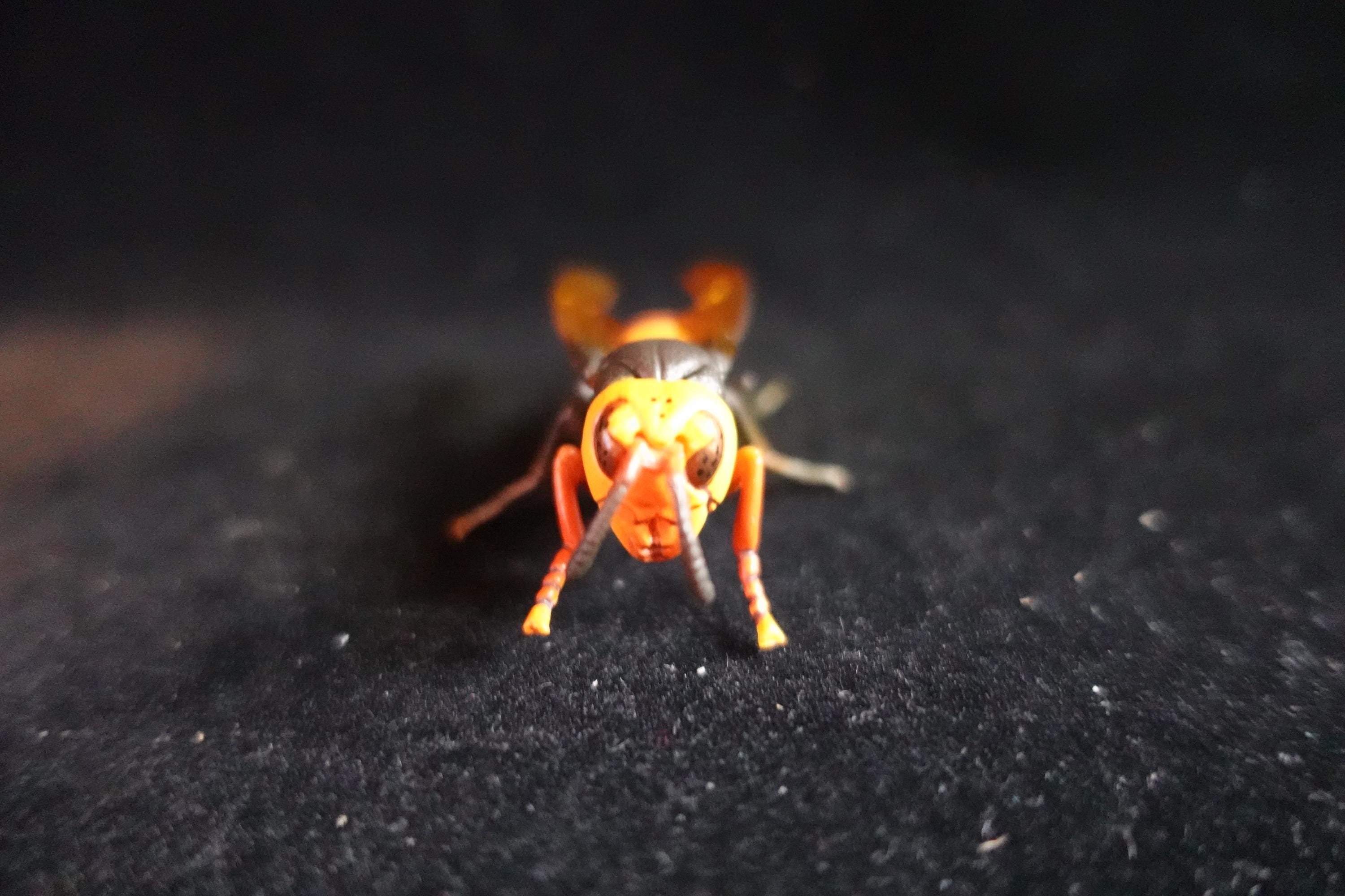 Kaiyodo ChocoQ Animatales Series 7 Giant Hornet