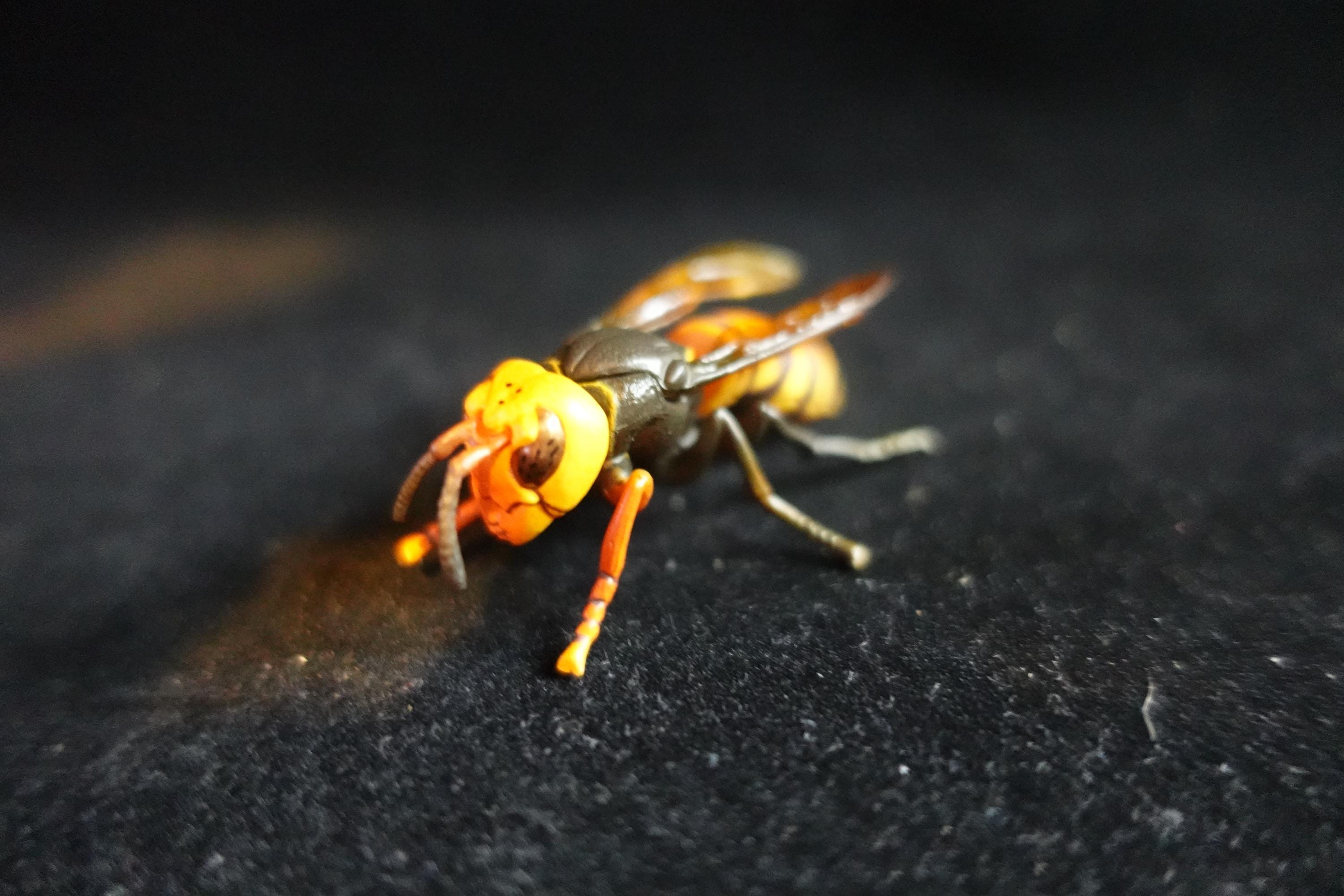 Kaiyodo ChocoQ Animatales Series 7 Giant Hornet