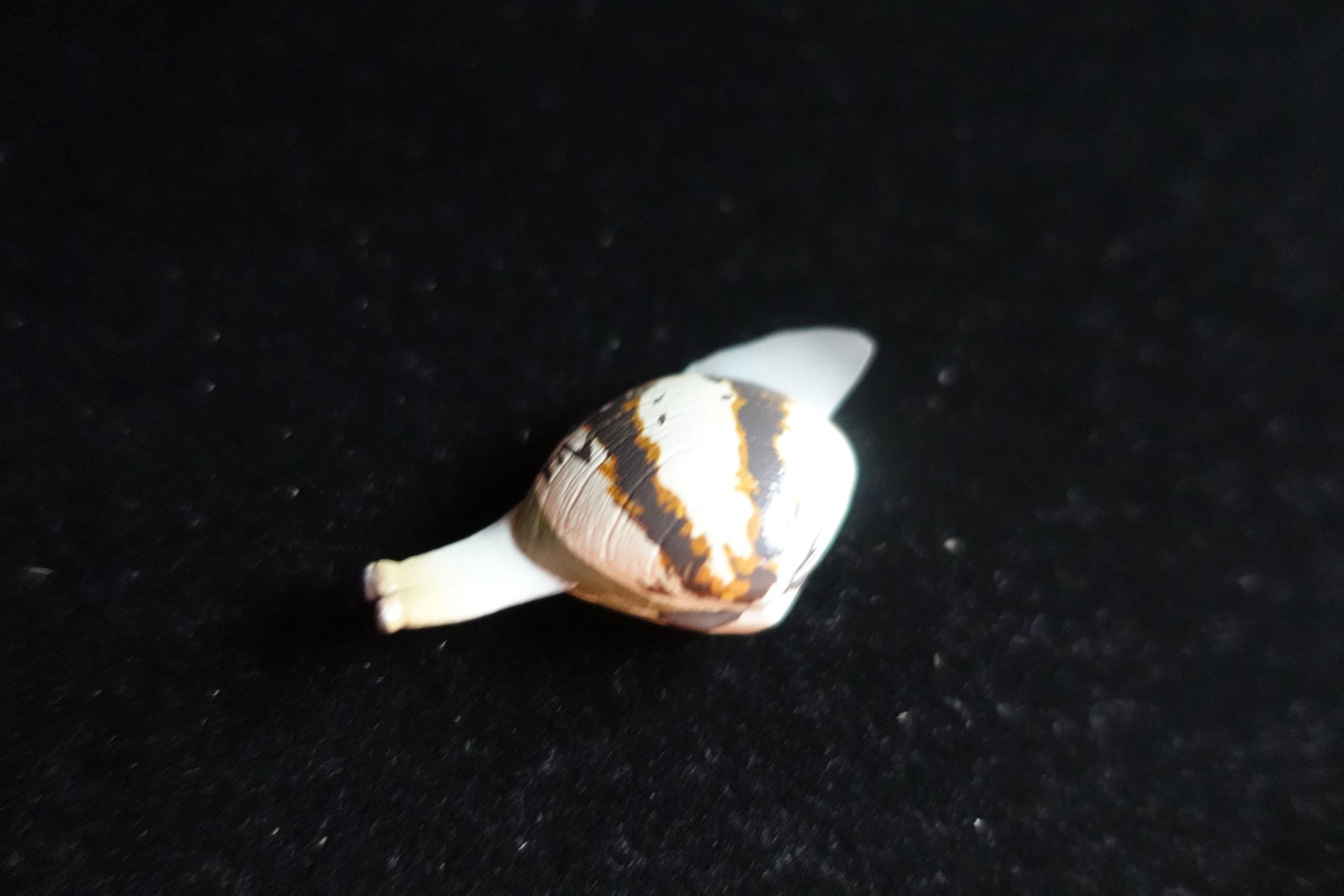 Kaiyodo ChocoQ Animatales Series 7 Clams