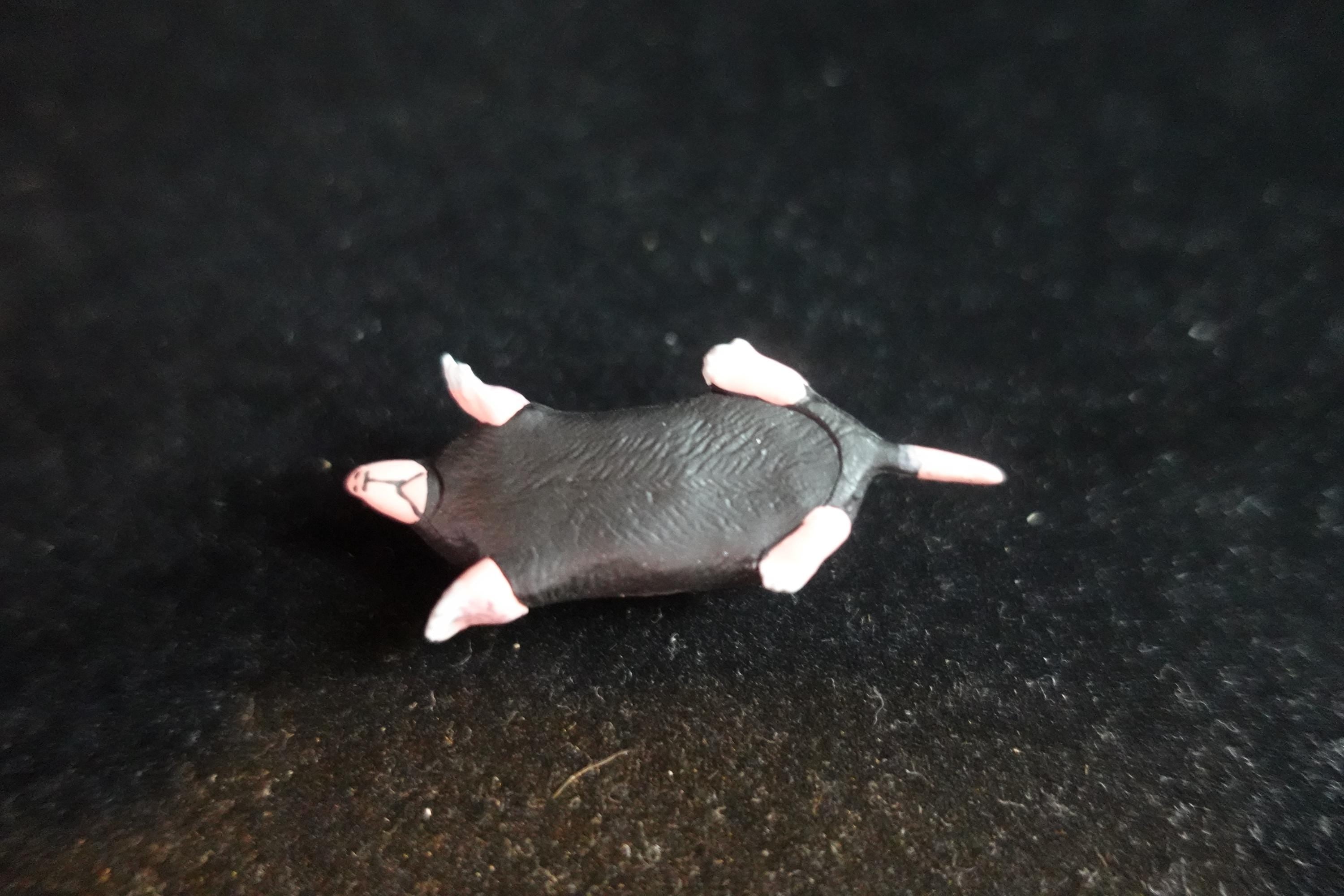 Kaiyodo ChocoQ Animatales Series 7 Mole