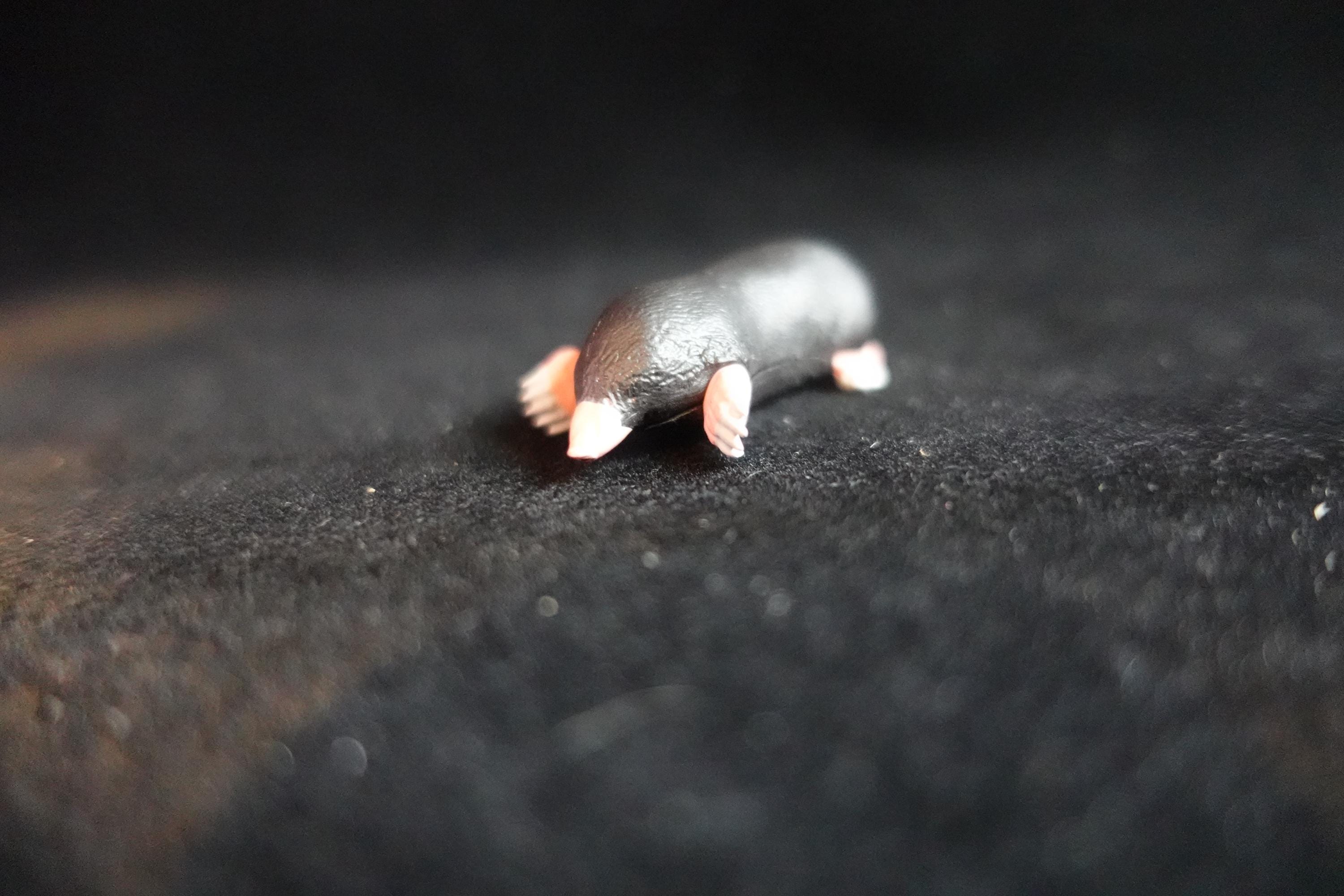 Kaiyodo ChocoQ Animatales Series 7 Mole