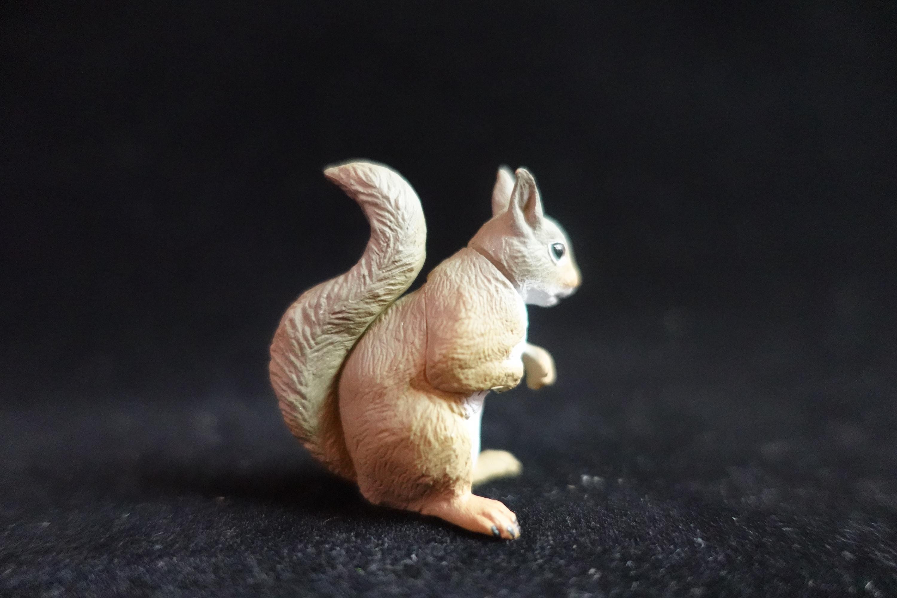 Kaiyodo ChocoQ Animatales Series 7  Japanese Squirrel