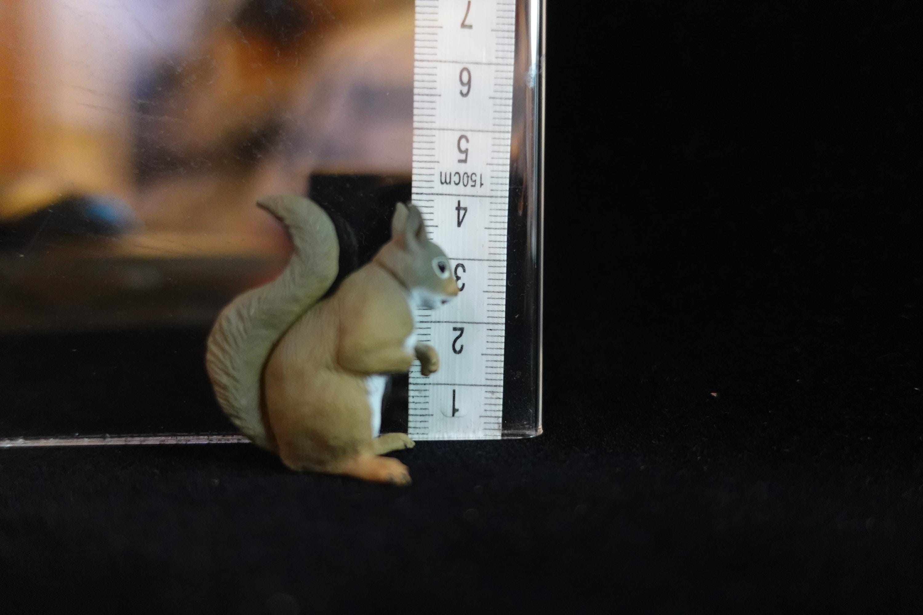Kaiyodo ChocoQ Animatales Series 7  Japanese Squirrel