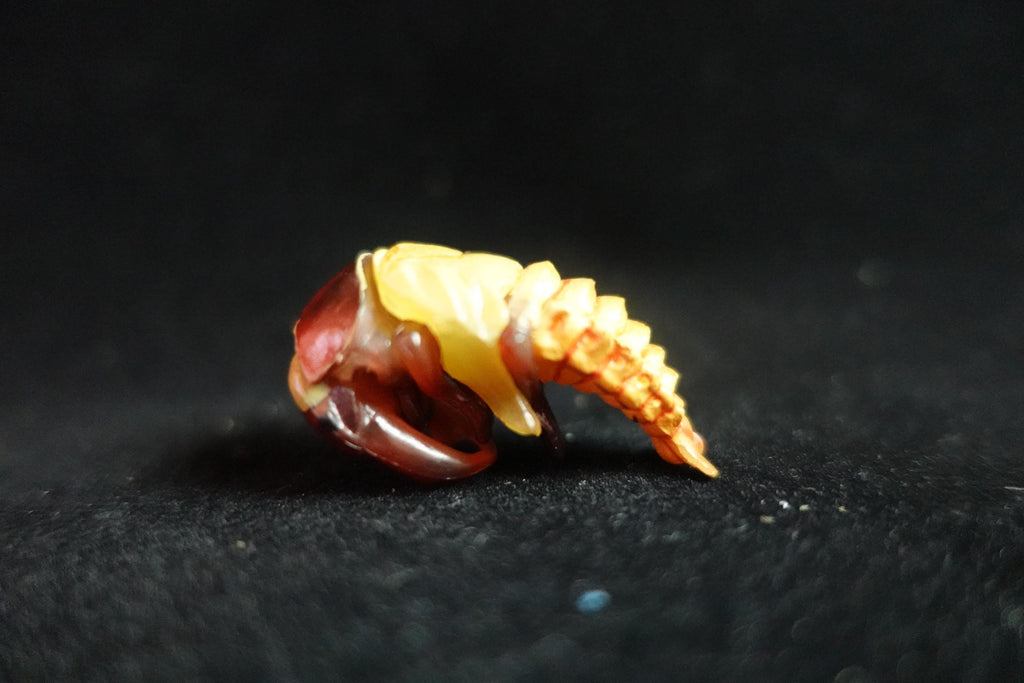 Kaiyodo ChocoQ Animatales Series 7 Secret SP Insect Beetle Pupa Larva C