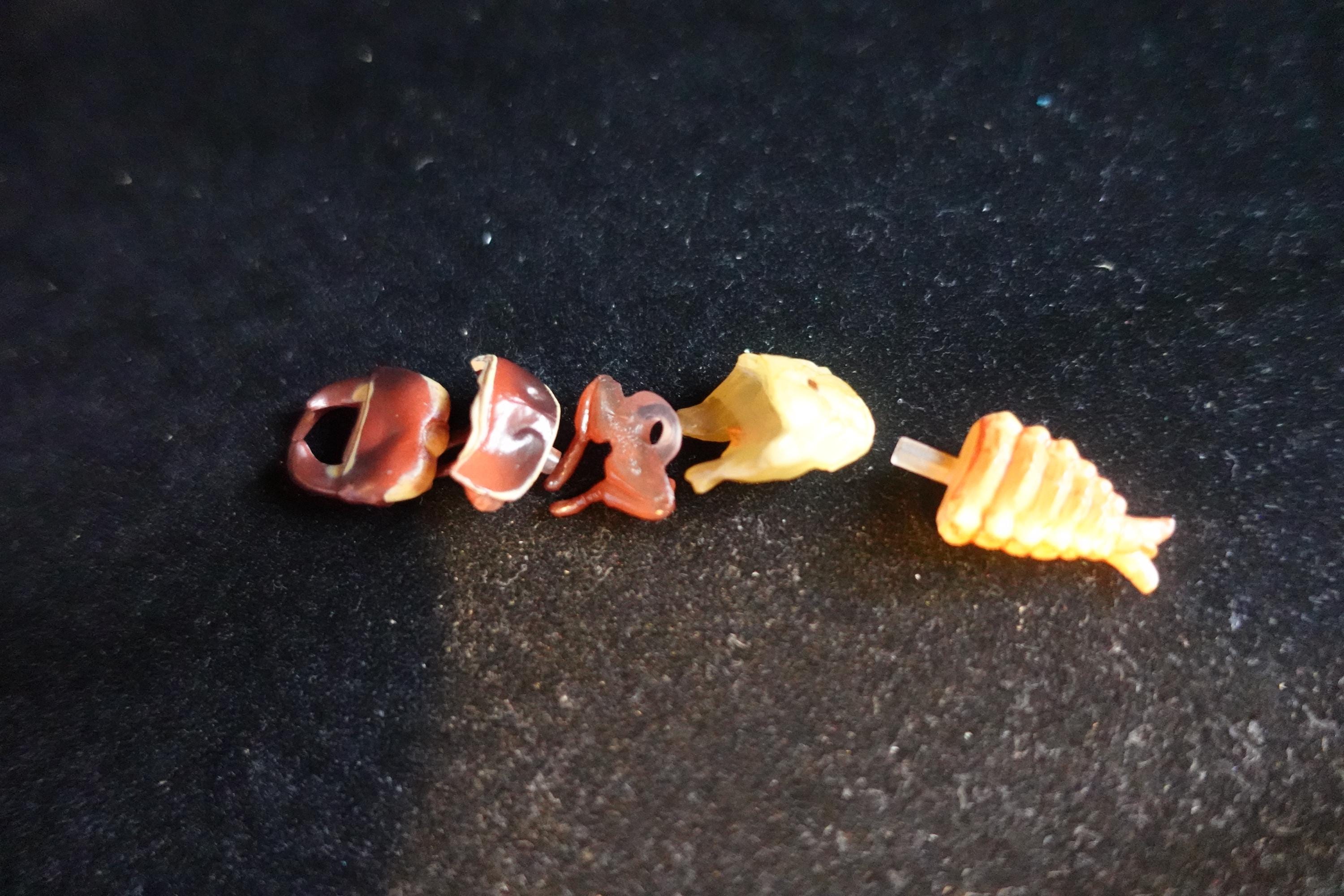 Kaiyodo ChocoQ Animatales Series 7 Secret SP Insect Beetle Pupa Larva C