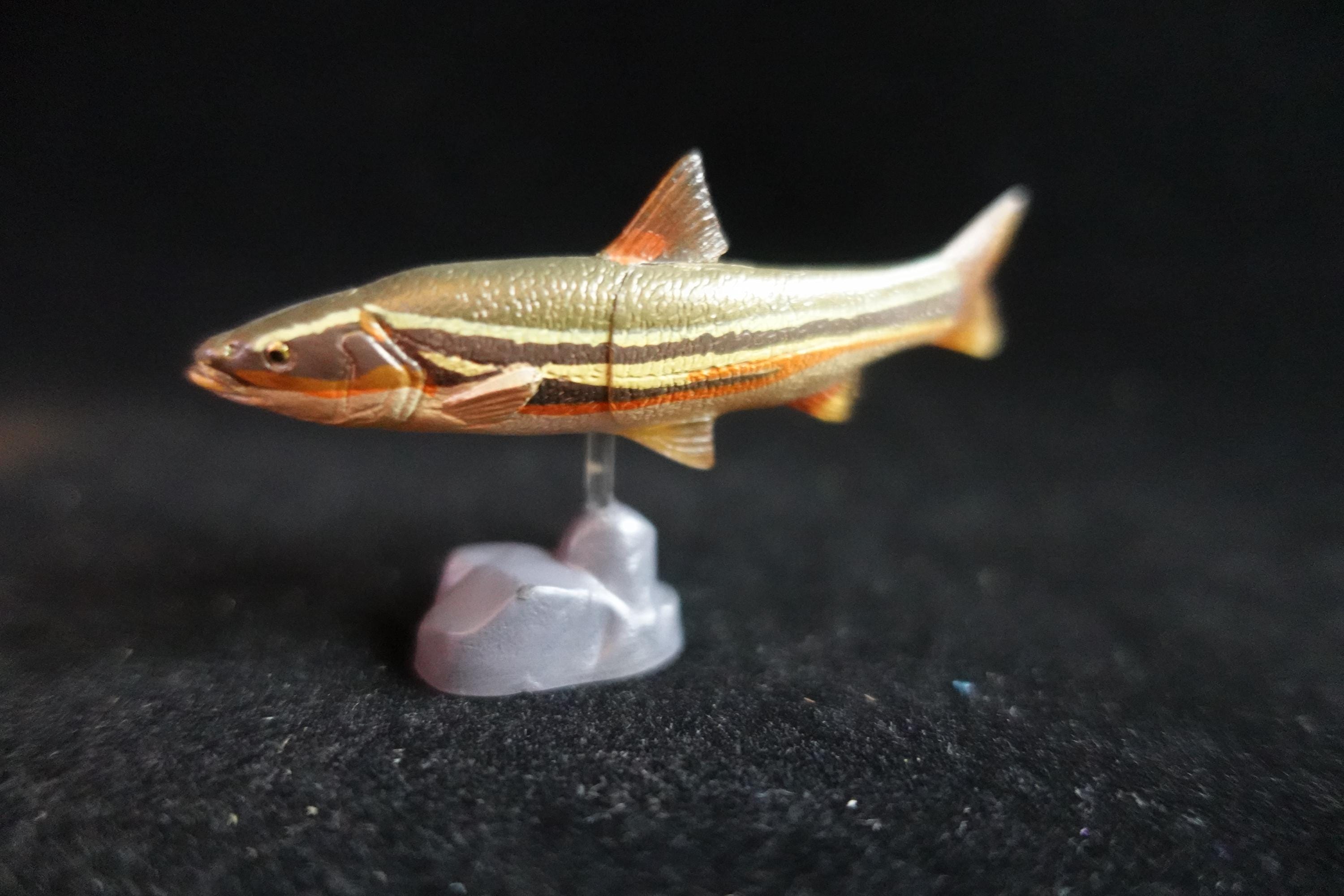Kaiyodo ChocoQ Animatales Series 7 Masu Trout Fish