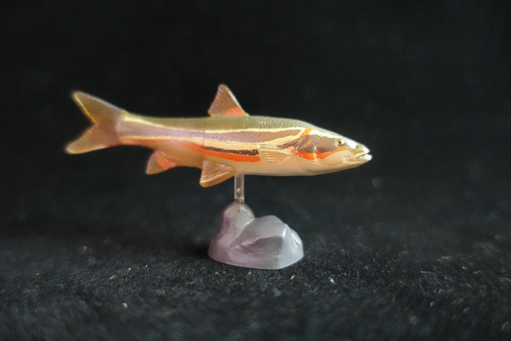 Kaiyodo ChocoQ Animatales Series 7 Masu Trout Fish