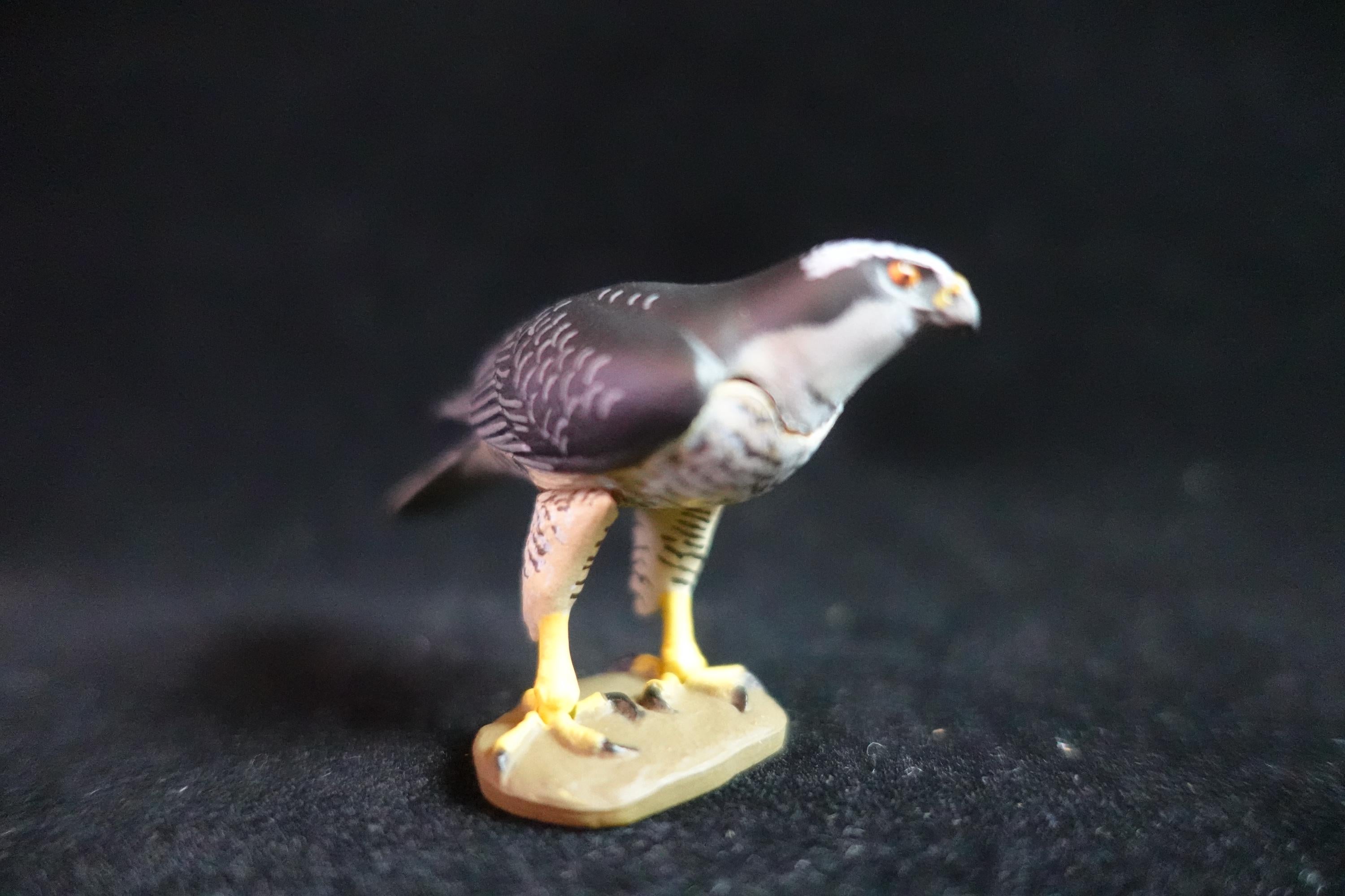 Kaiyodo ChocoQ Animatales Series 7 Goshawk Bird