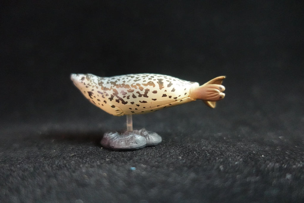 Kaiyodo ChocoQ Animatales Series 7 Spotted Seal Fish