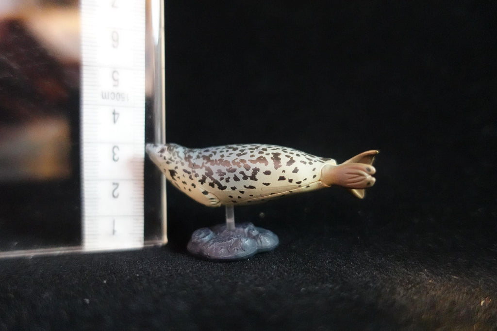 Kaiyodo ChocoQ Animatales Series 7 Spotted Seal Fish