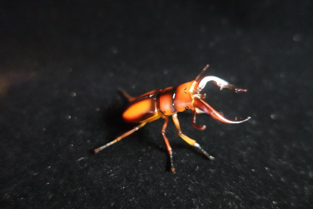Kaiyodo ChocoQ Animatales Series 8  Tokara Stag Beetle B Insect Bug
