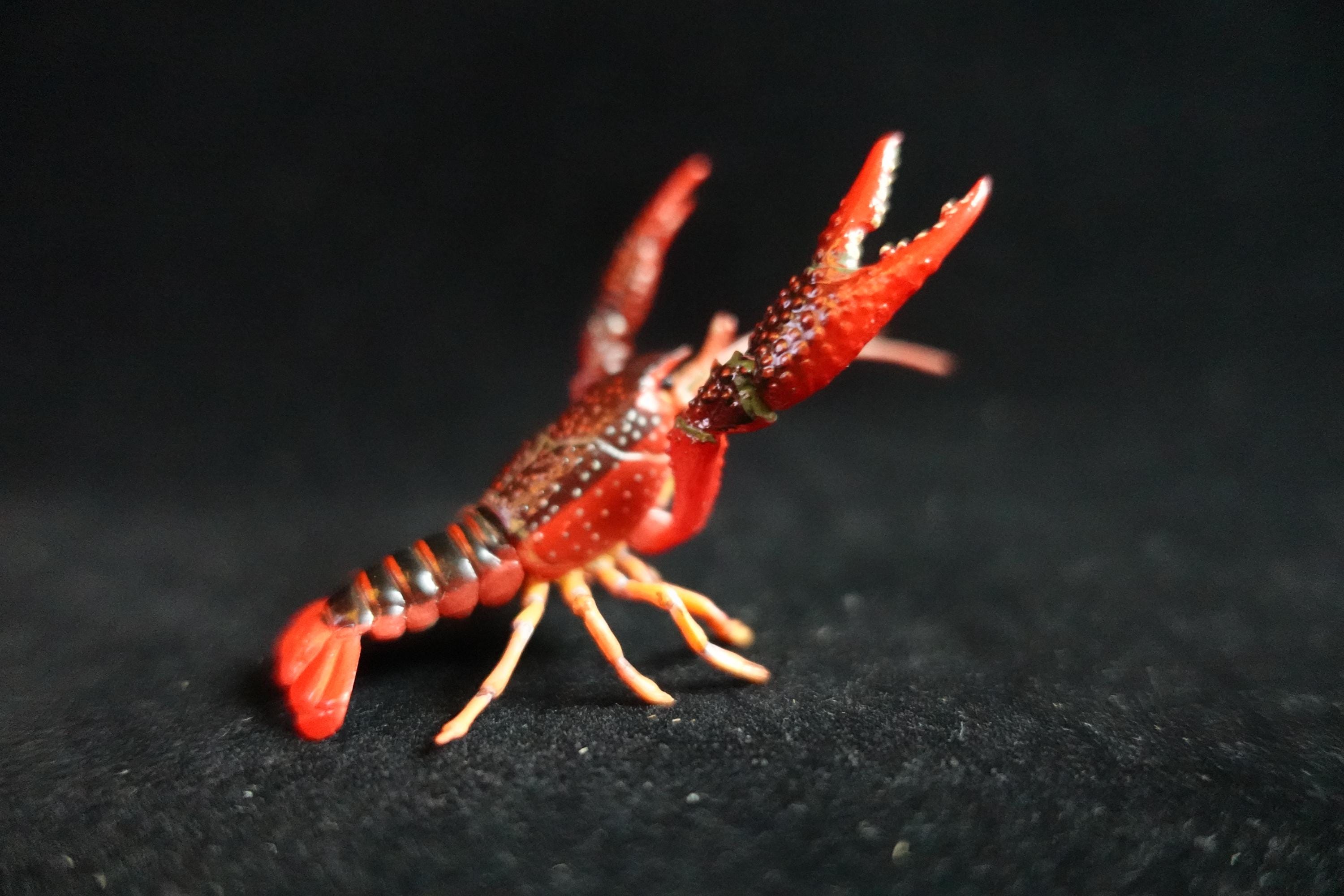 Kaiyodo ChocoQ Animatales Series 8 Red Lobster