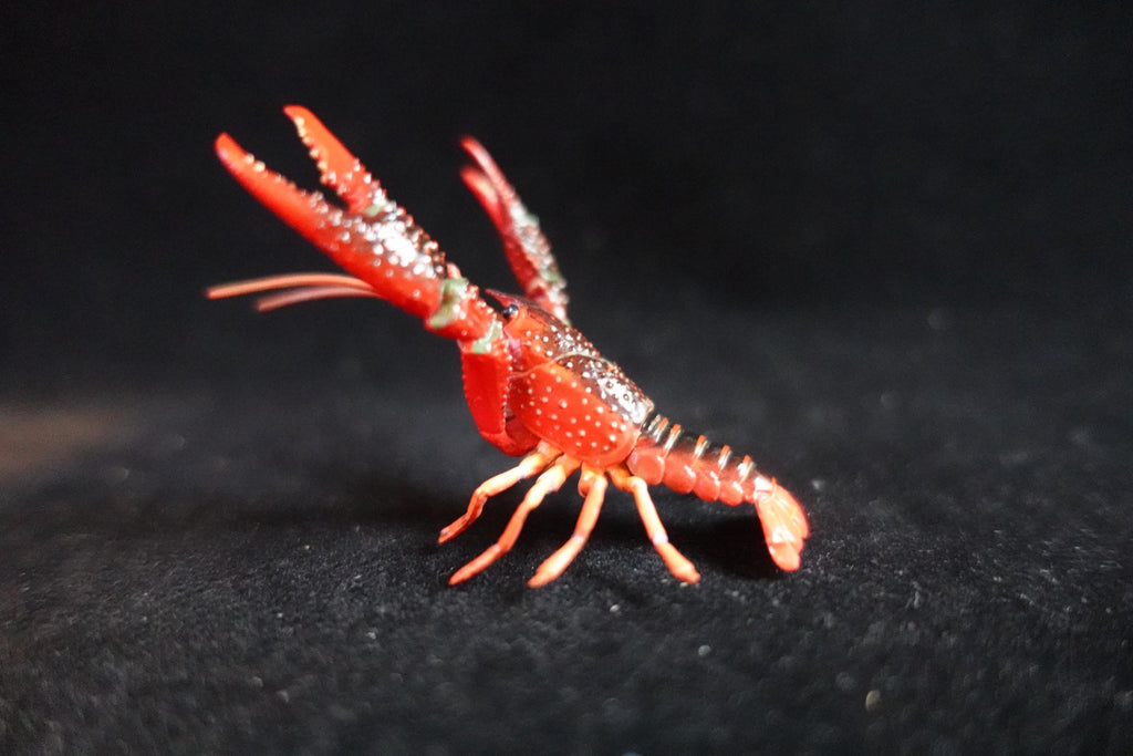 Kaiyodo ChocoQ Animatales Series 8 Red Lobster