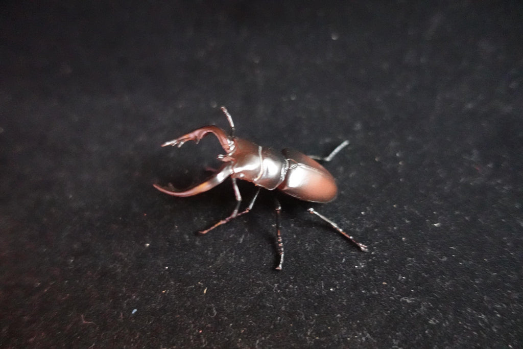 Kaiyodo ChocoQ Animatales Series 8 Tokara stag Beetle A Insect Bug