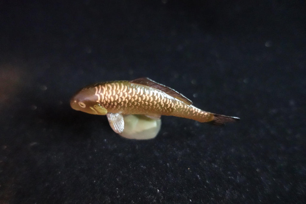 Kaiyodo ChocoQ Animatales Series 8 Black Carp Fish