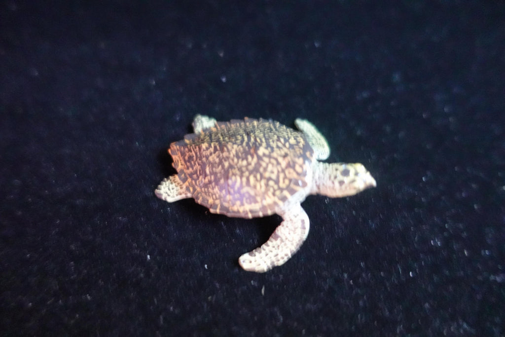 Kaiyodo ChocoQ Animatales Series 8 Hawksbill Turtle