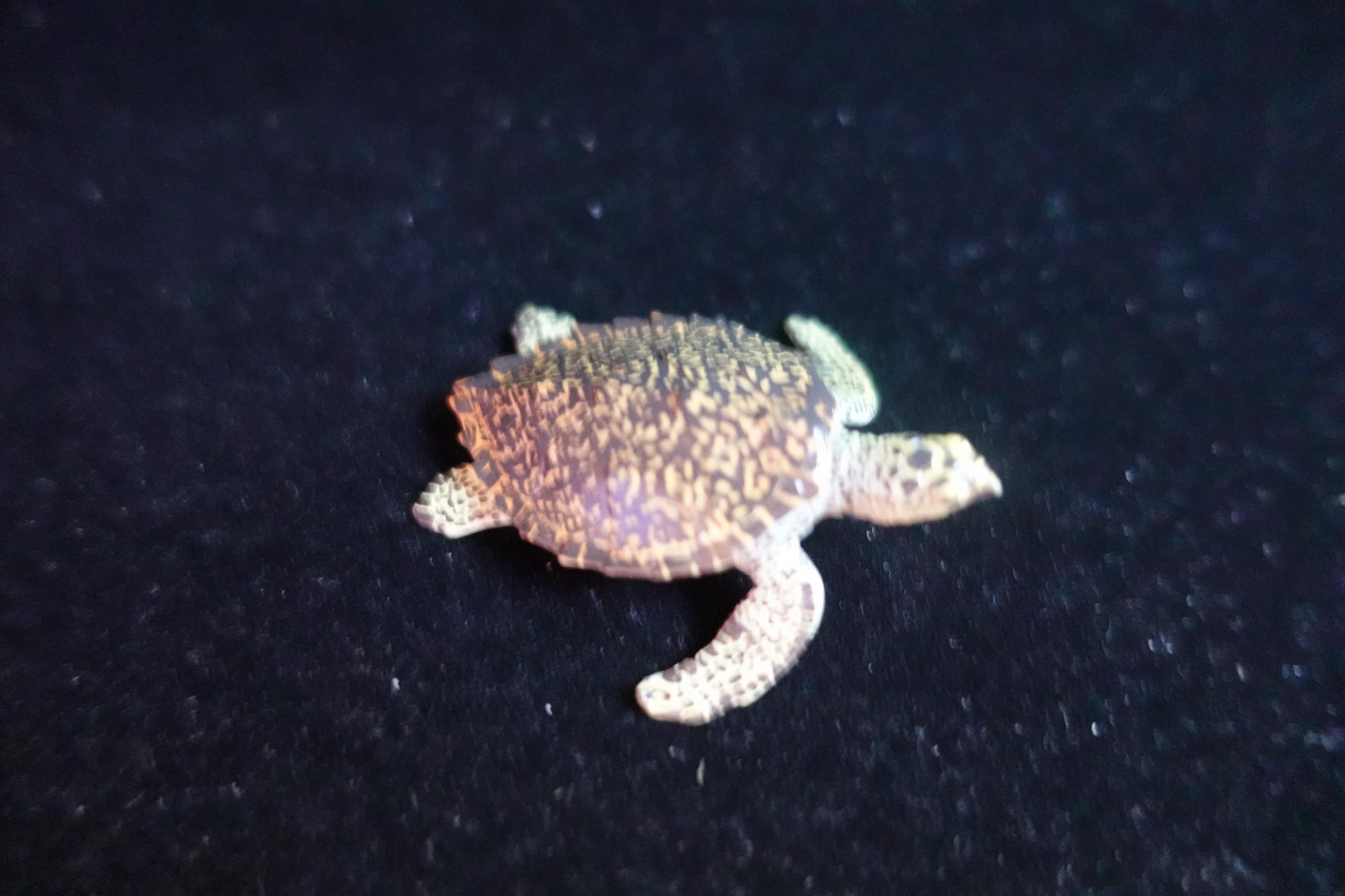 Kaiyodo ChocoQ Animatales Series 8 Hawksbill Turtle