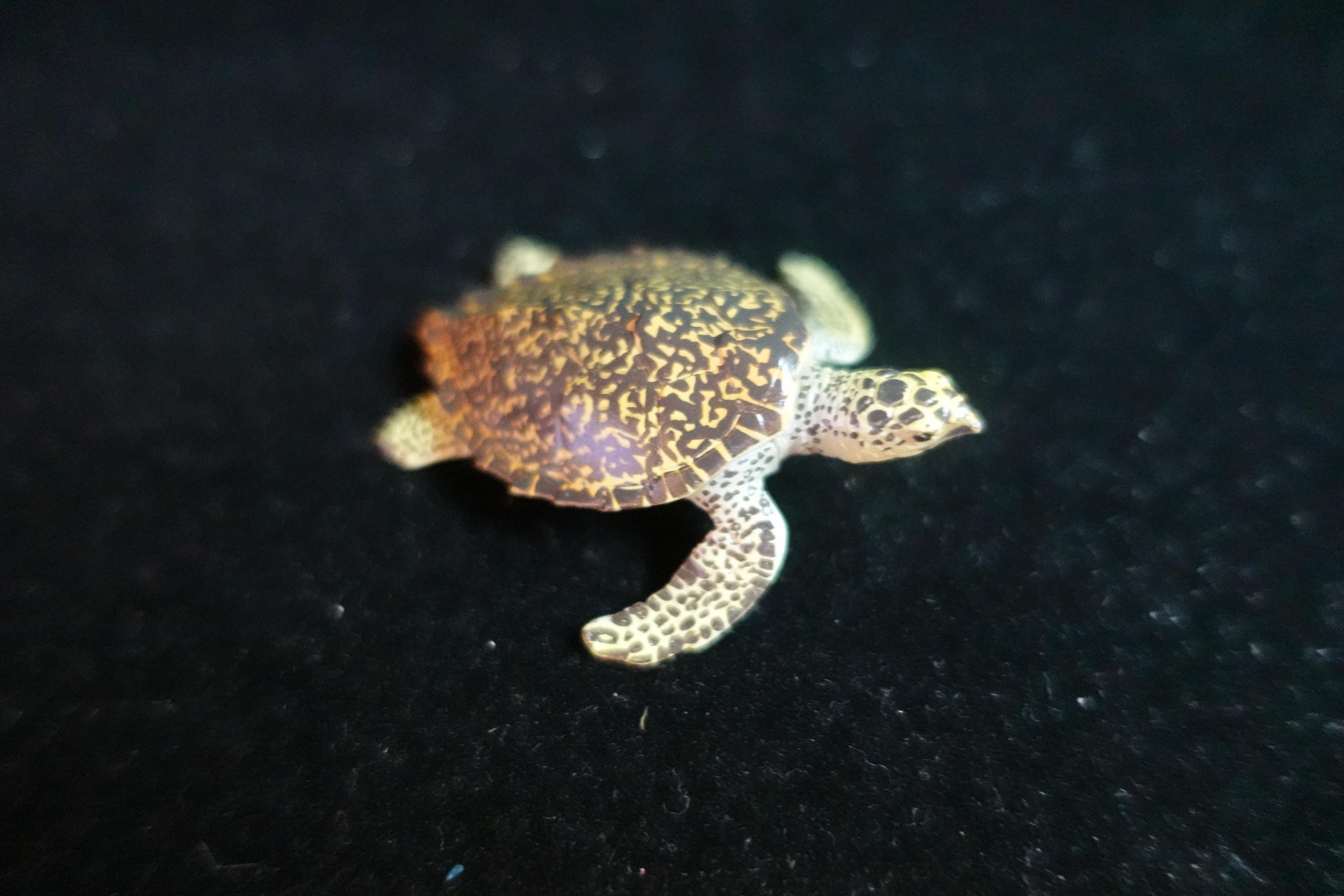 Kaiyodo ChocoQ Animatales Series 8 Hawksbill Turtle