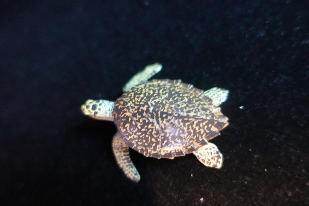 Kaiyodo ChocoQ Animatales Series 8 Hawksbill Turtle