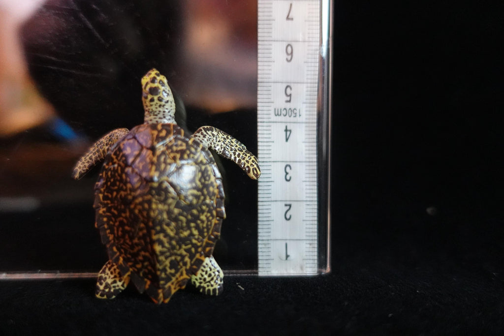 Kaiyodo ChocoQ Animatales Series 8 Hawksbill Turtle